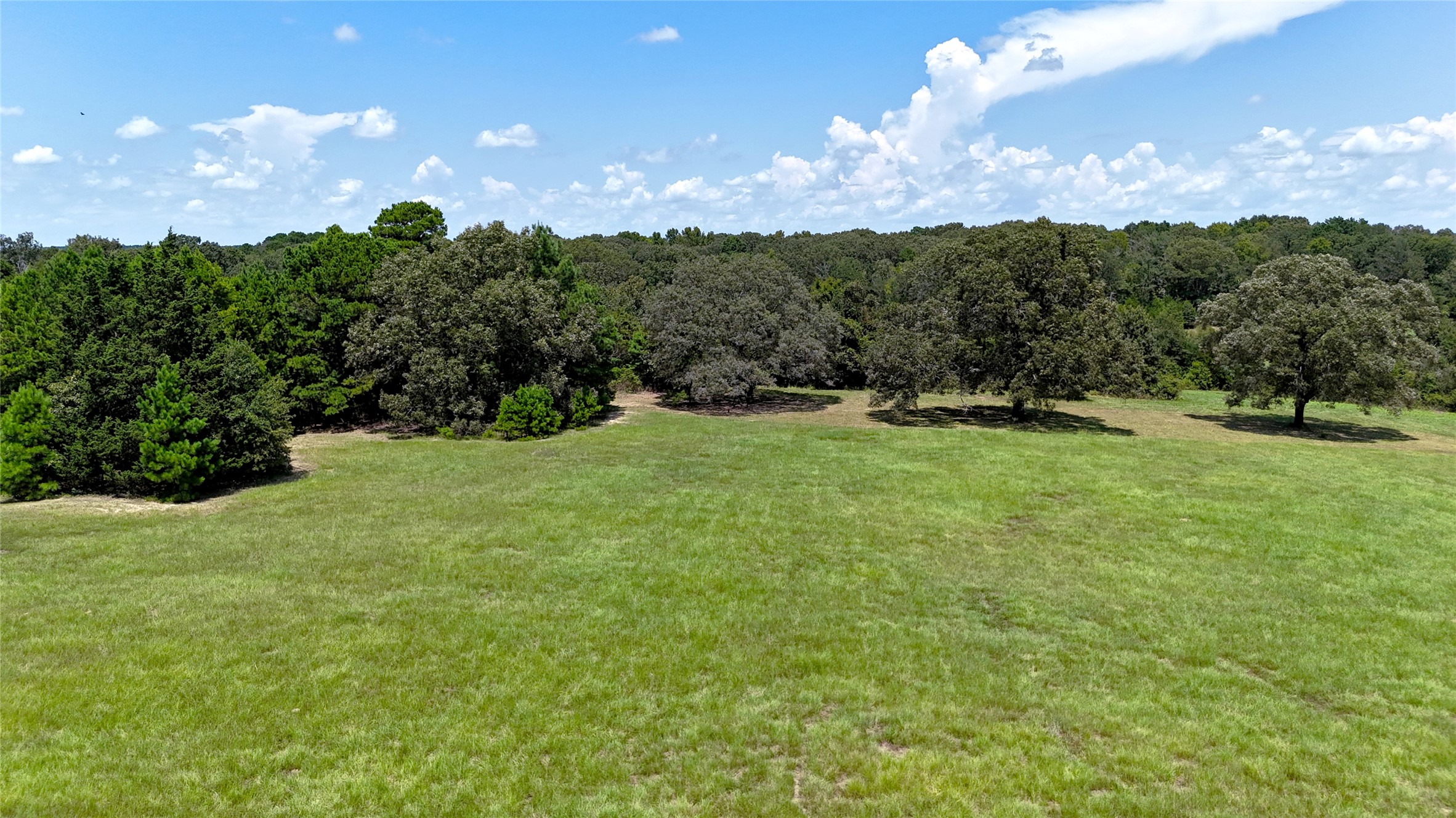 Tbd Lee Drive Murchison TX 75778