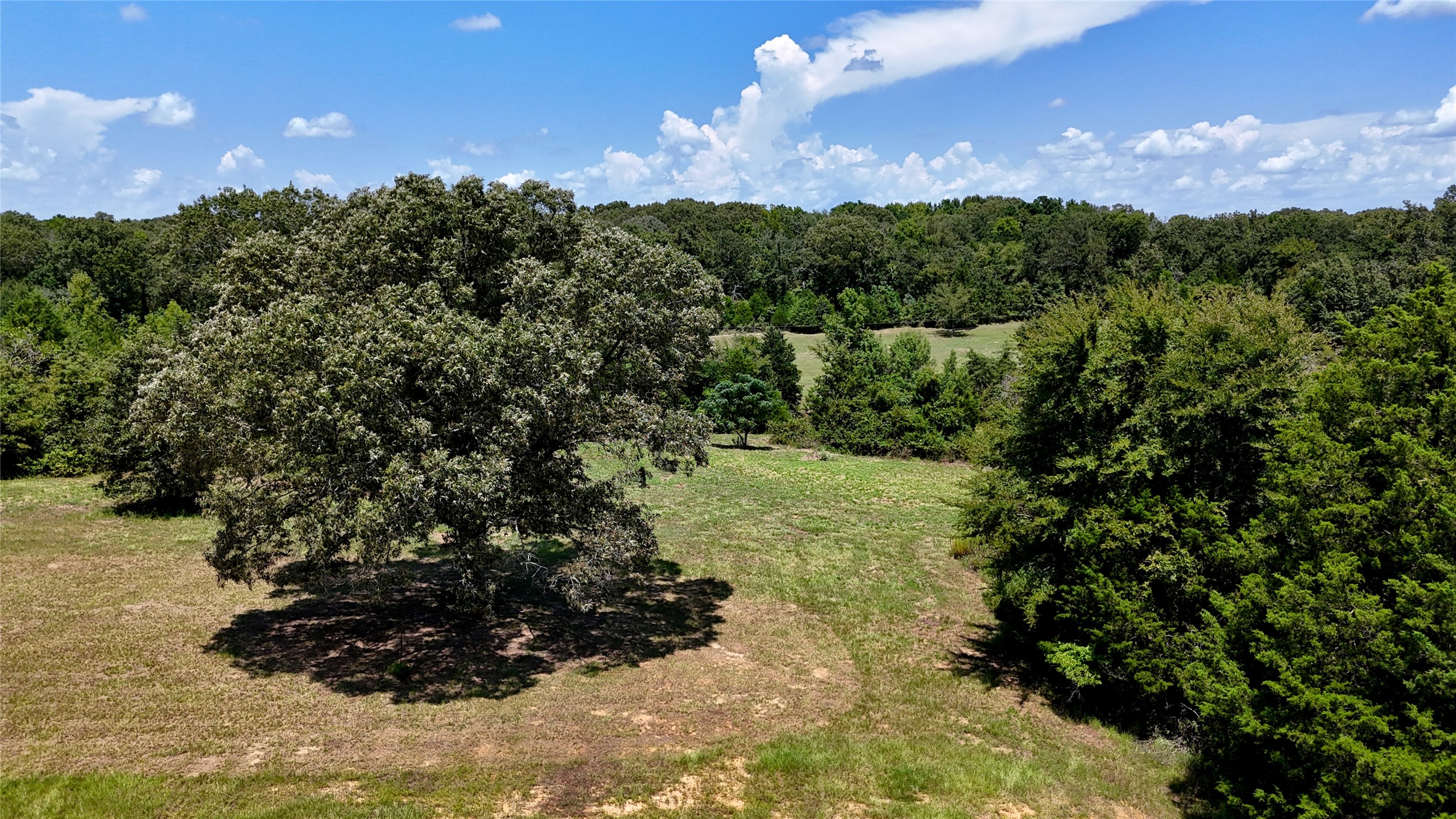 Tbd Lee Drive Murchison TX 75778