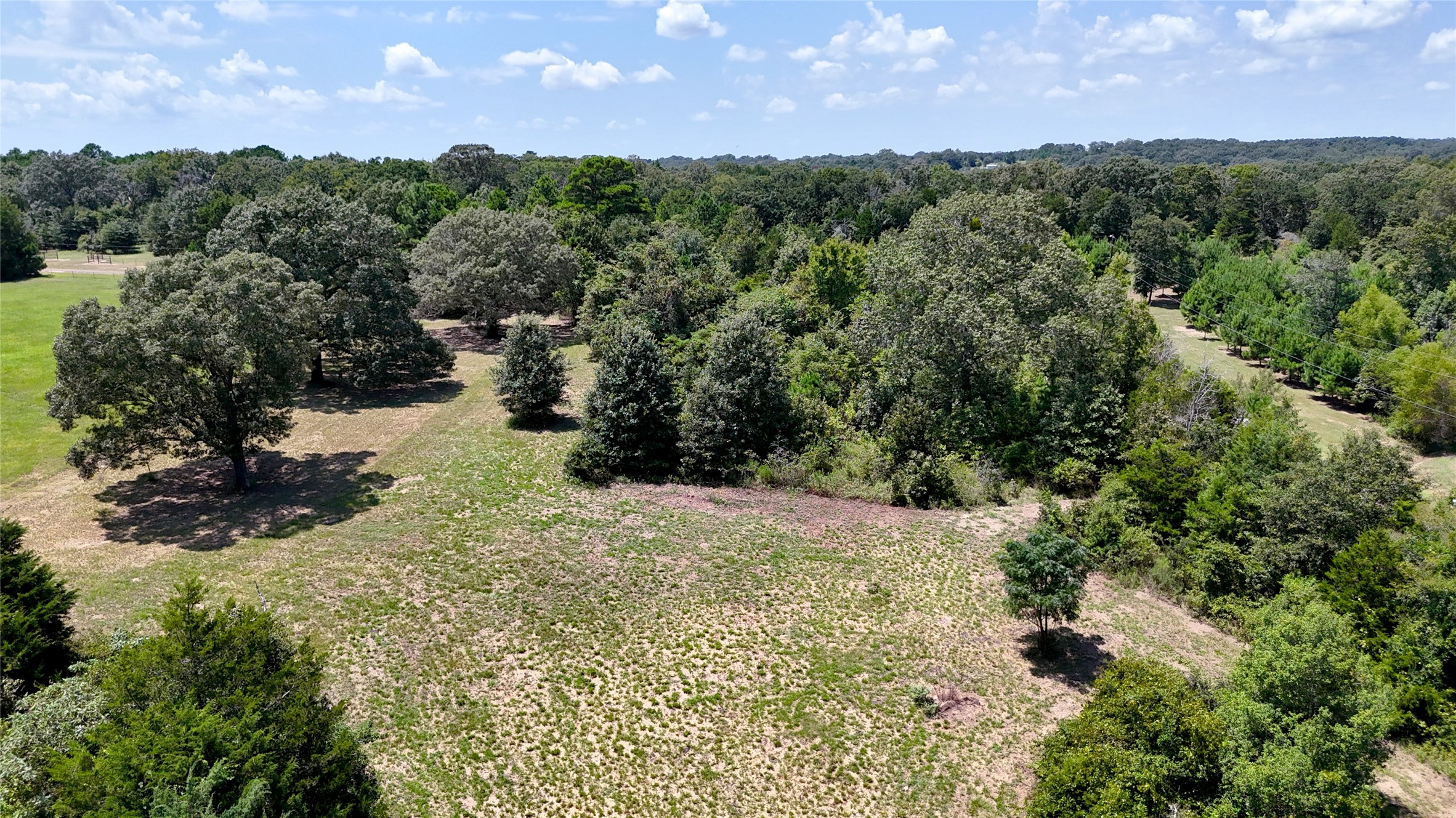Tbd Lee Drive Murchison TX 75778