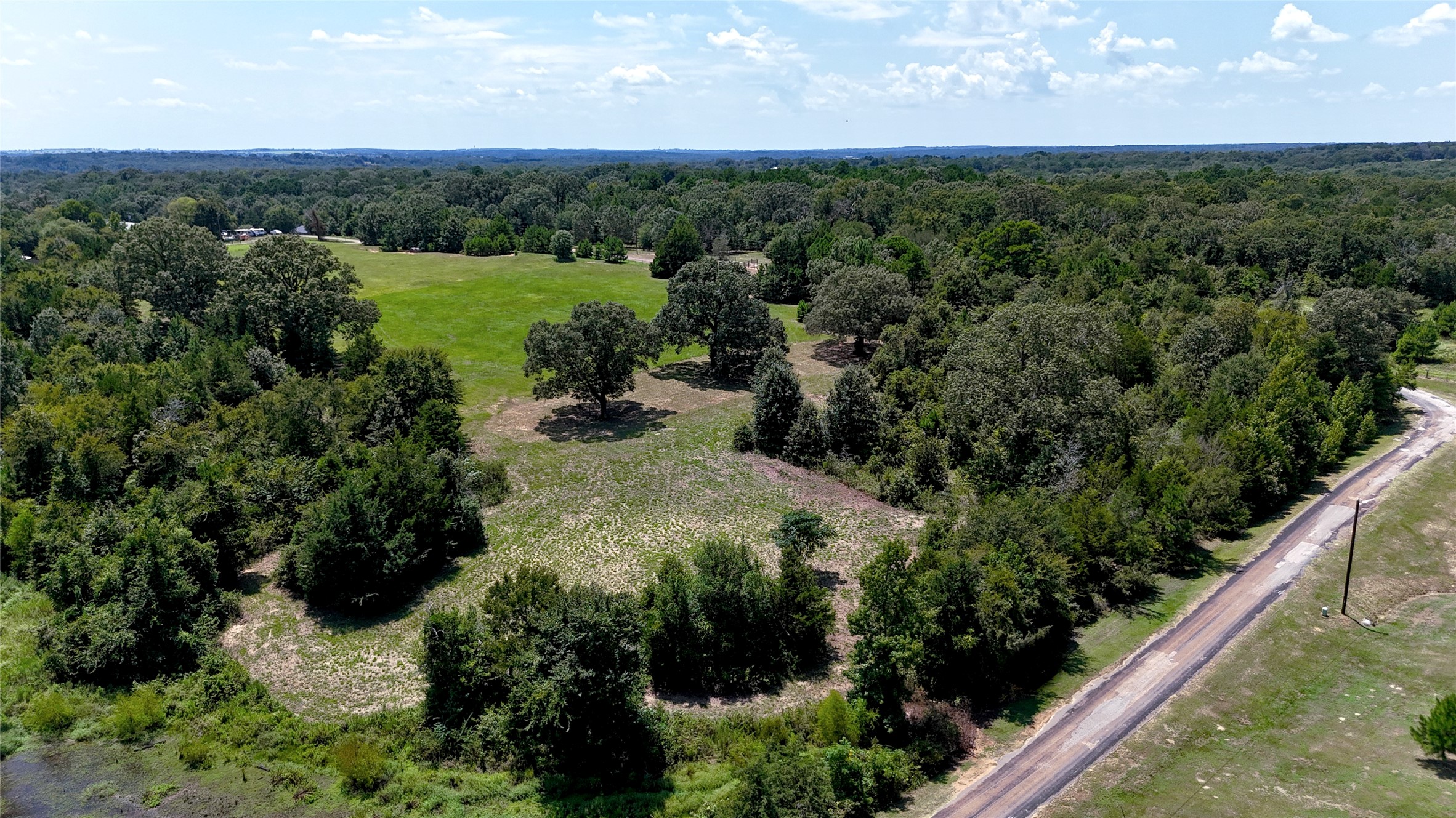 Tbd Lee Drive Murchison TX 75778