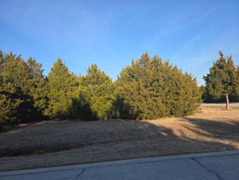 Tbd Pine Hills Lane Gordonville TX 76245