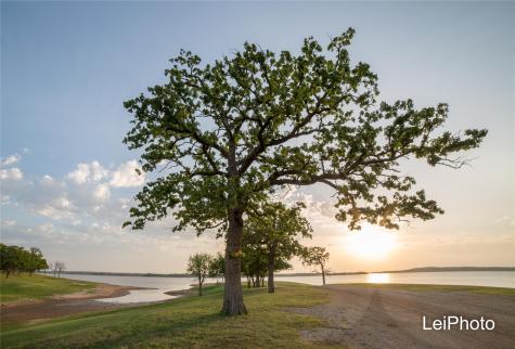 Tbd Pine Hills Lane Gordonville TX 76245