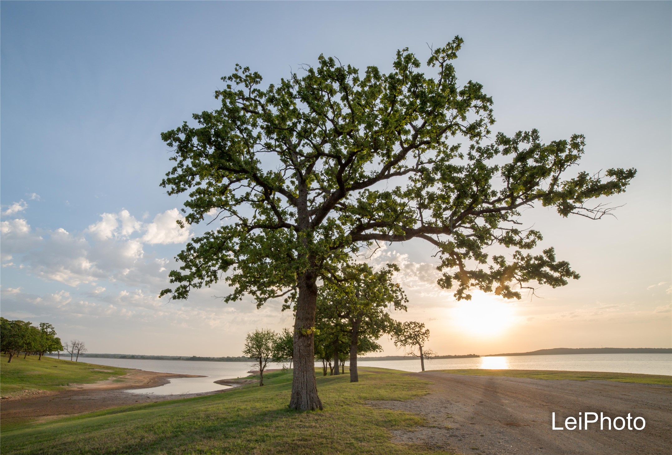 Tbd Pine Hills Lane Gordonville TX 76245