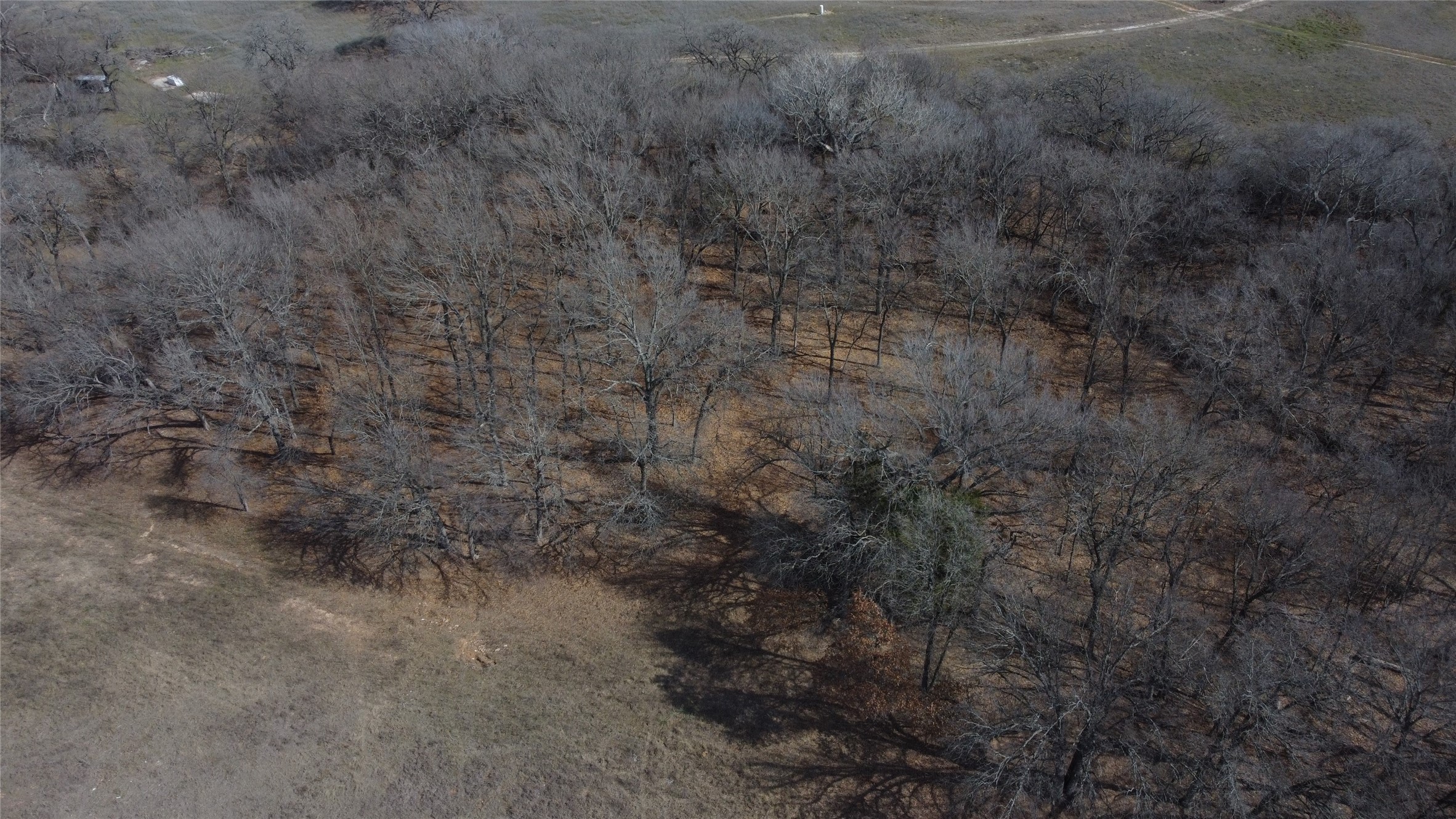 Lot 230 Luna Court Alvord TX 76225