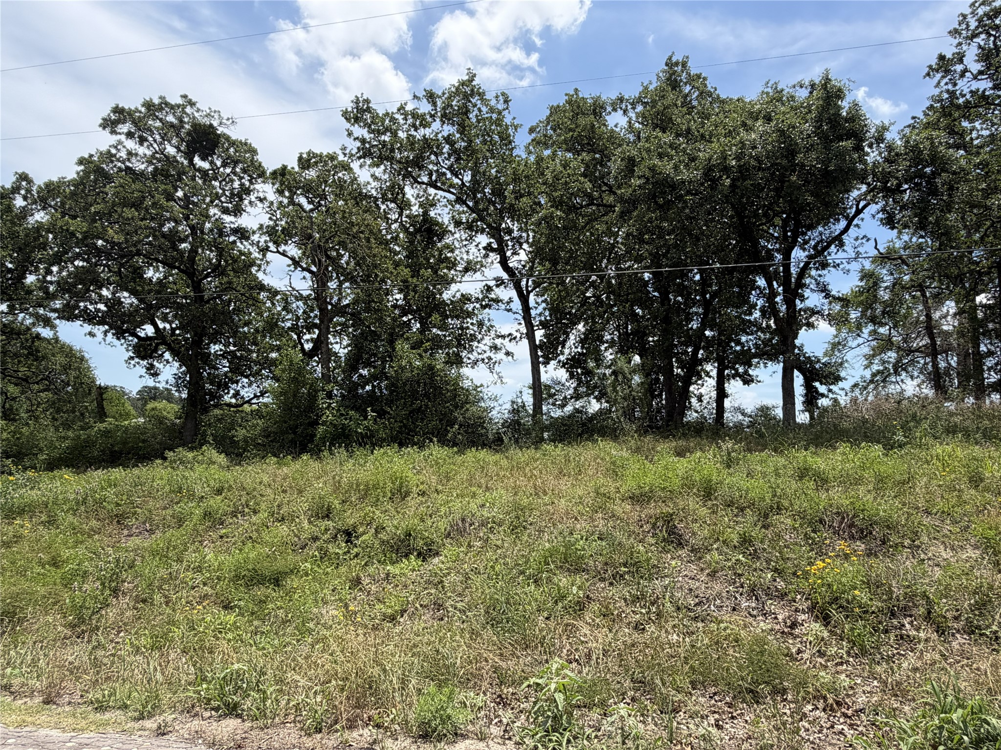 482 Lcr 794 Groesbeck TX 76642