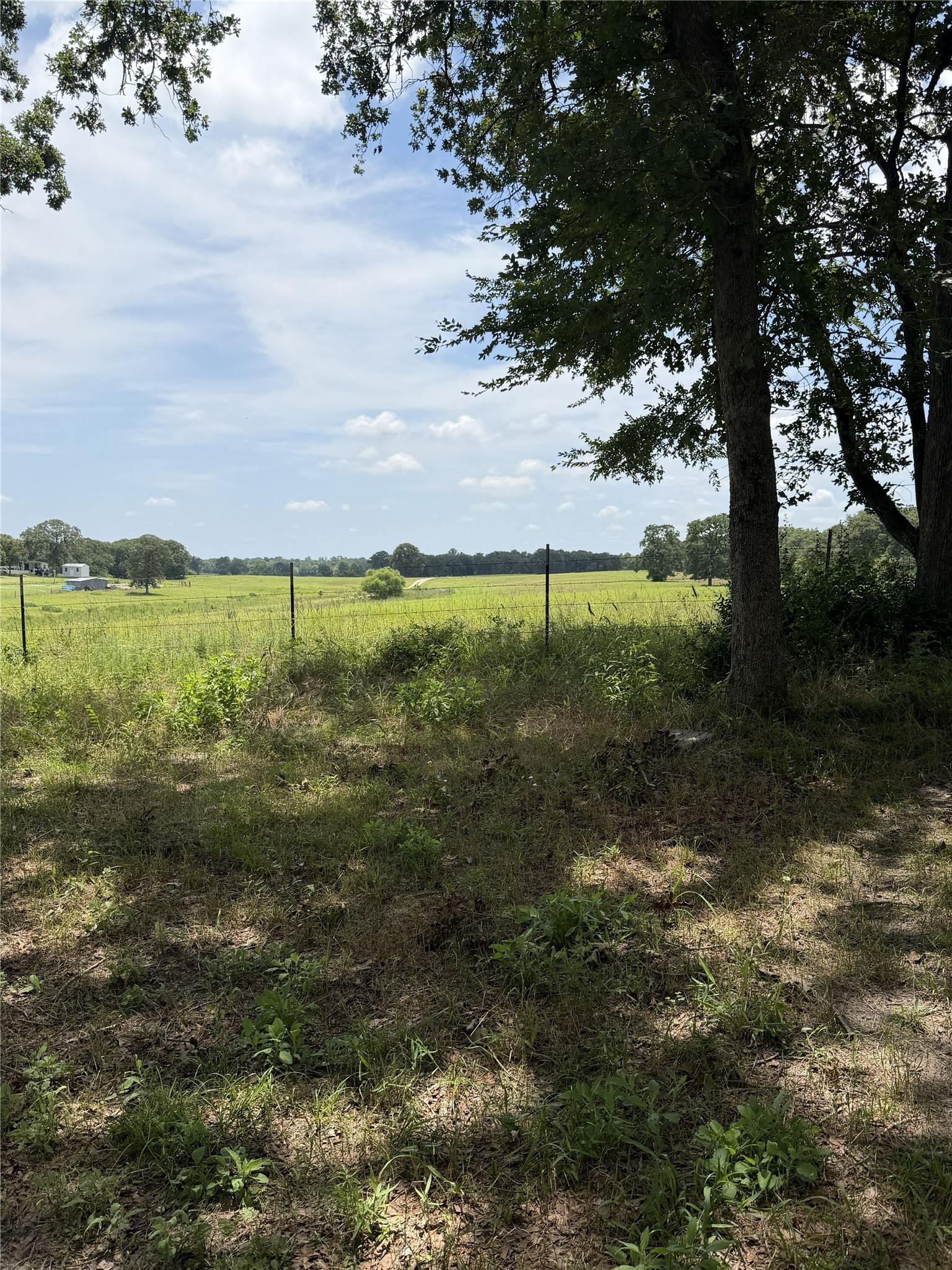 482 Lcr 794 Groesbeck TX 76642