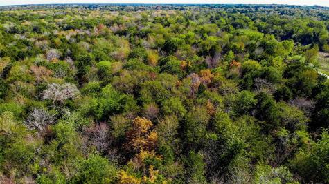 Lot 12 SE County Road 2370 Streetman TX 75859