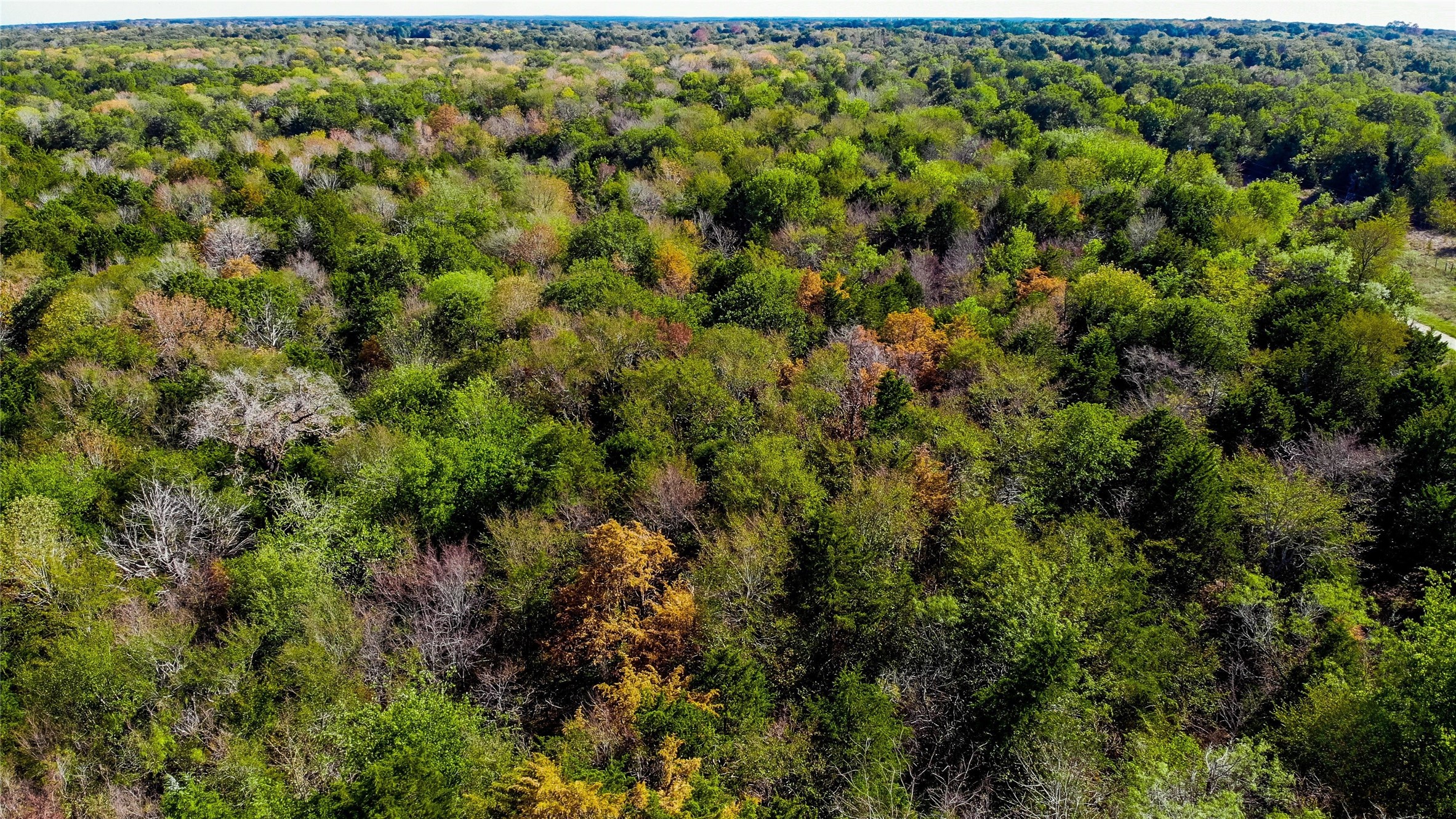 Lot 12 SE County Road 2370 Streetman TX 75859
