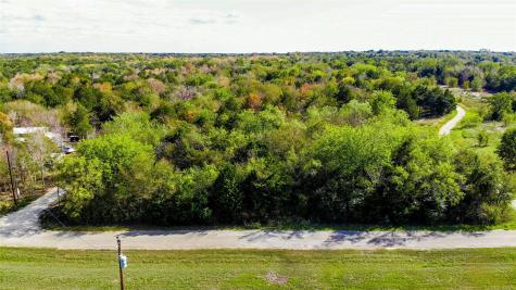 Lot 12 SE County Road 2370 Streetman TX 75859