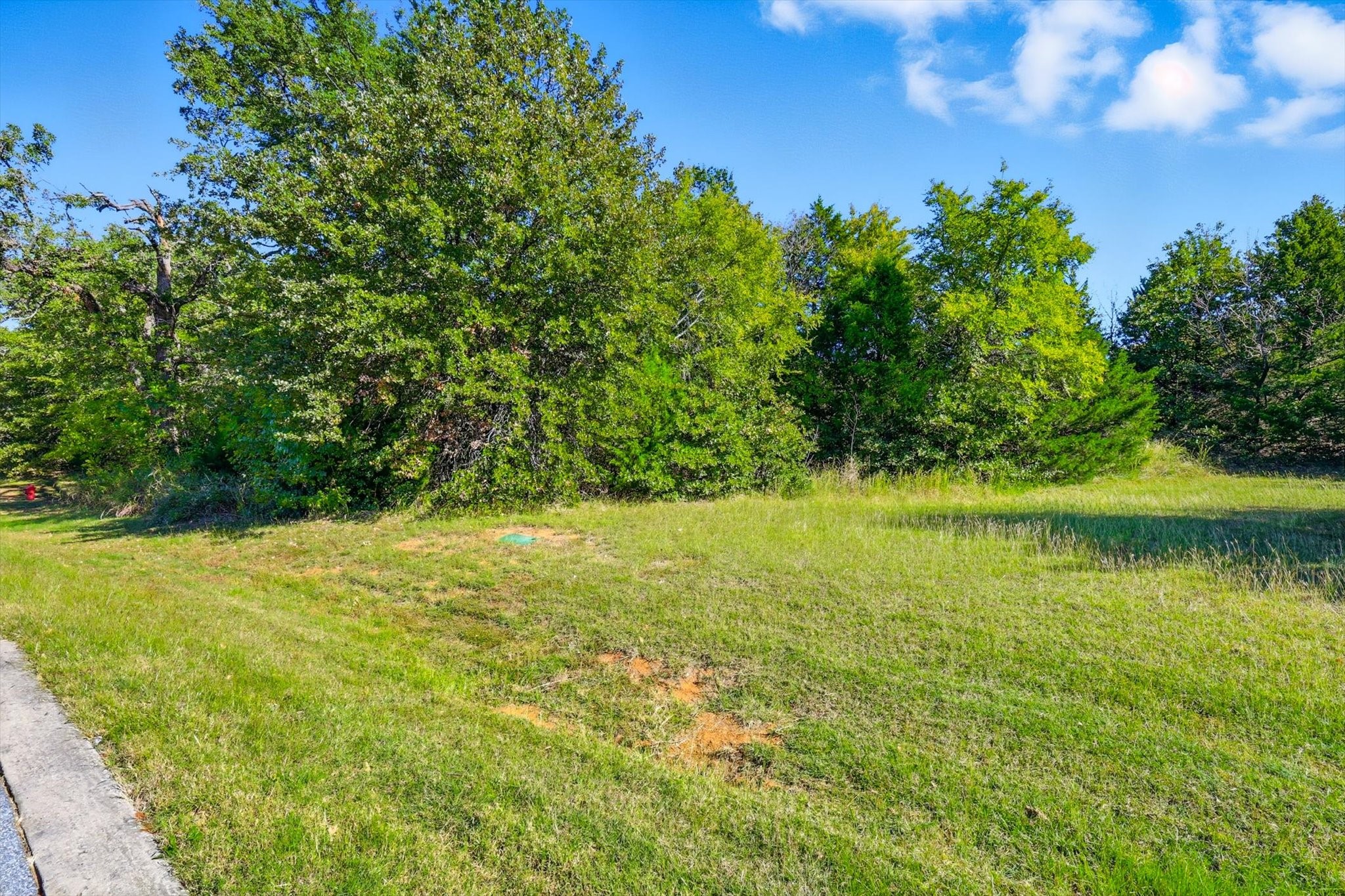 Tbd Roaring Fork Circle Gordonville TX 76245