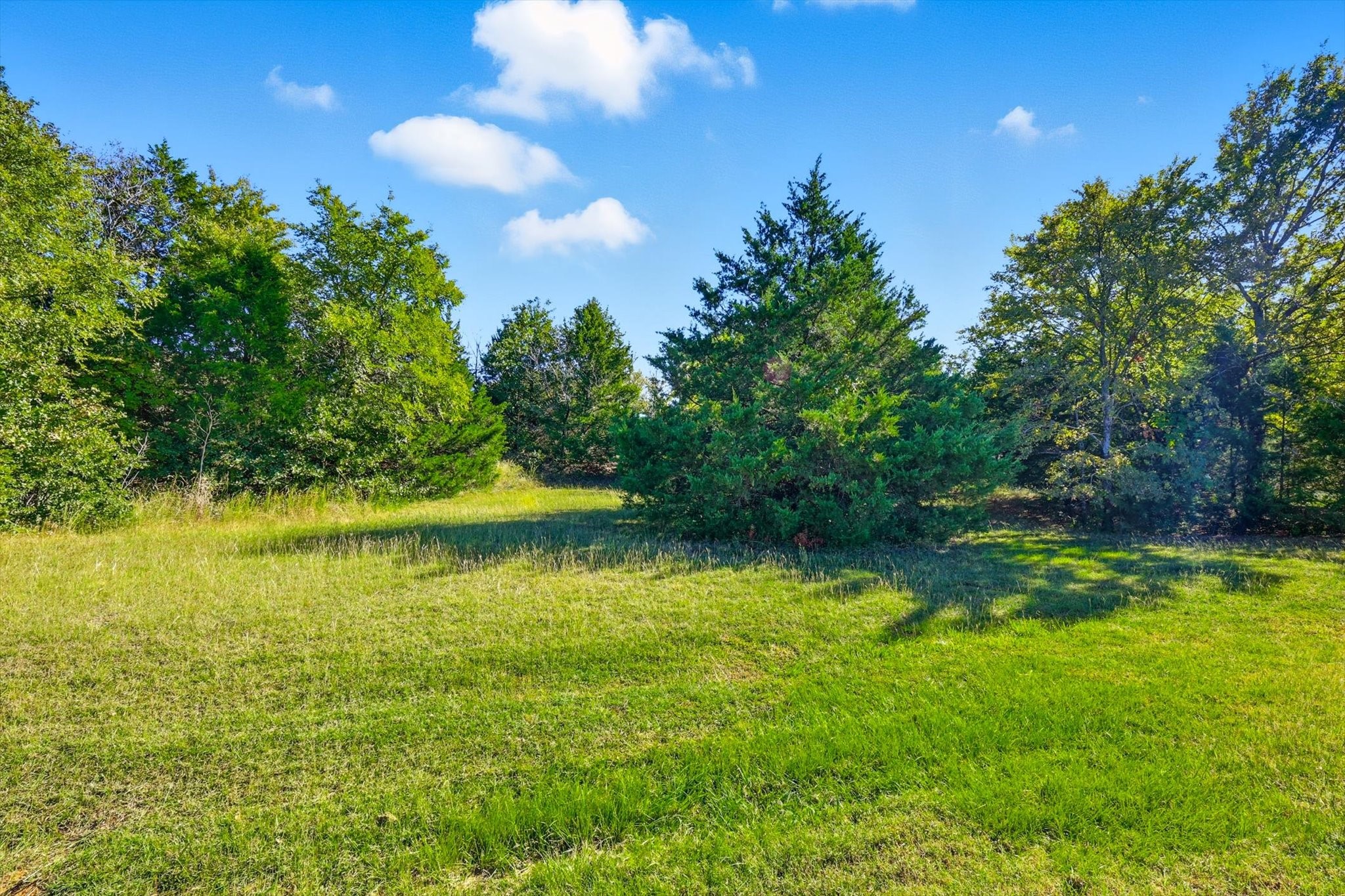 Tbd Roaring Fork Circle Gordonville TX 76245