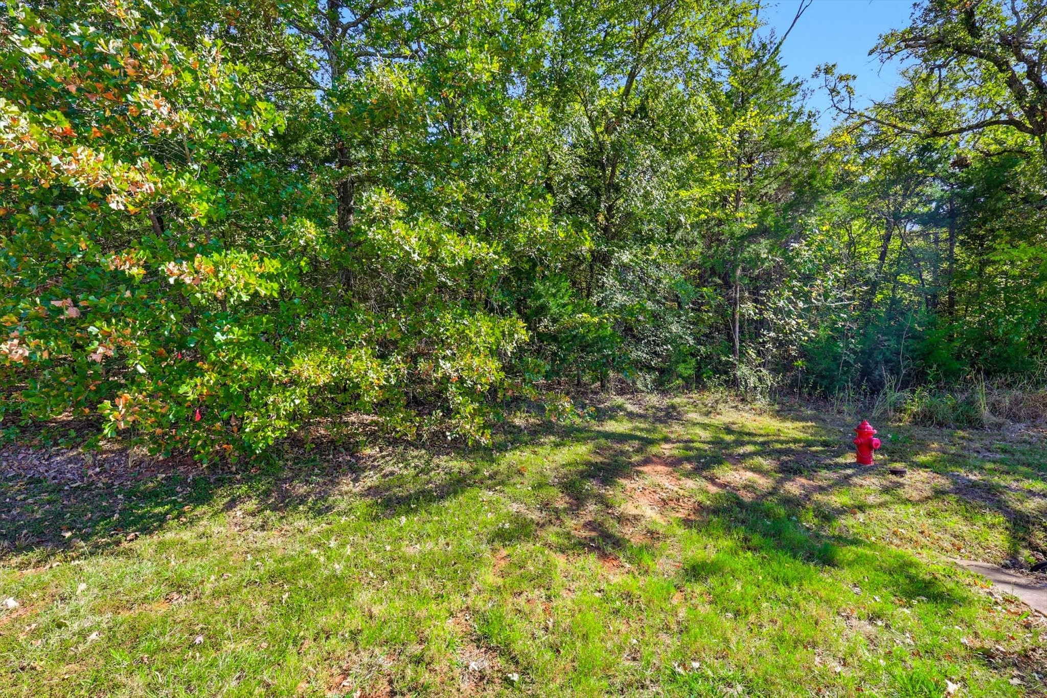 Tbd Roaring Fork Circle Gordonville TX 76245