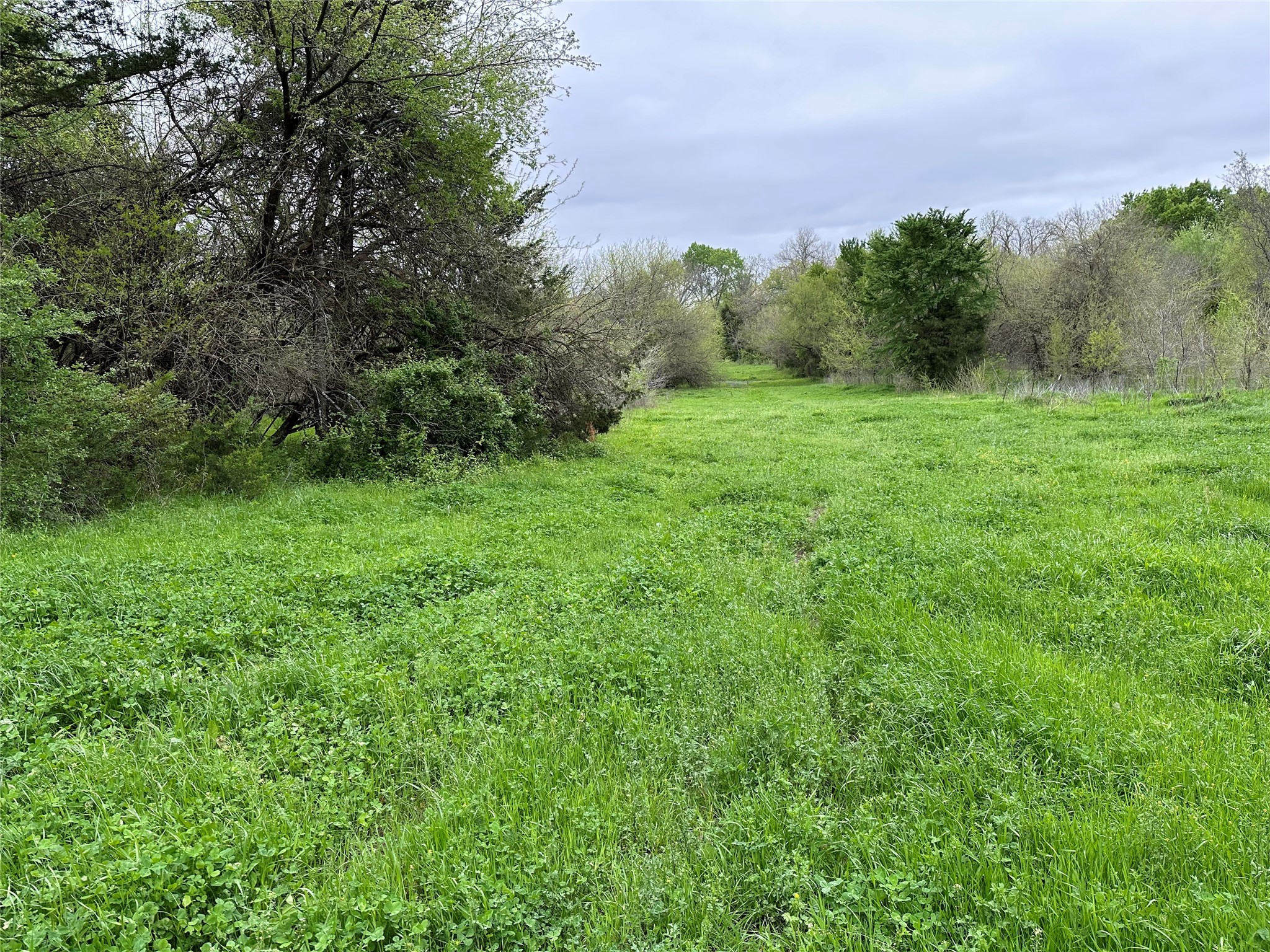 Tract 4 Fm 2194 Greenville TX 75401