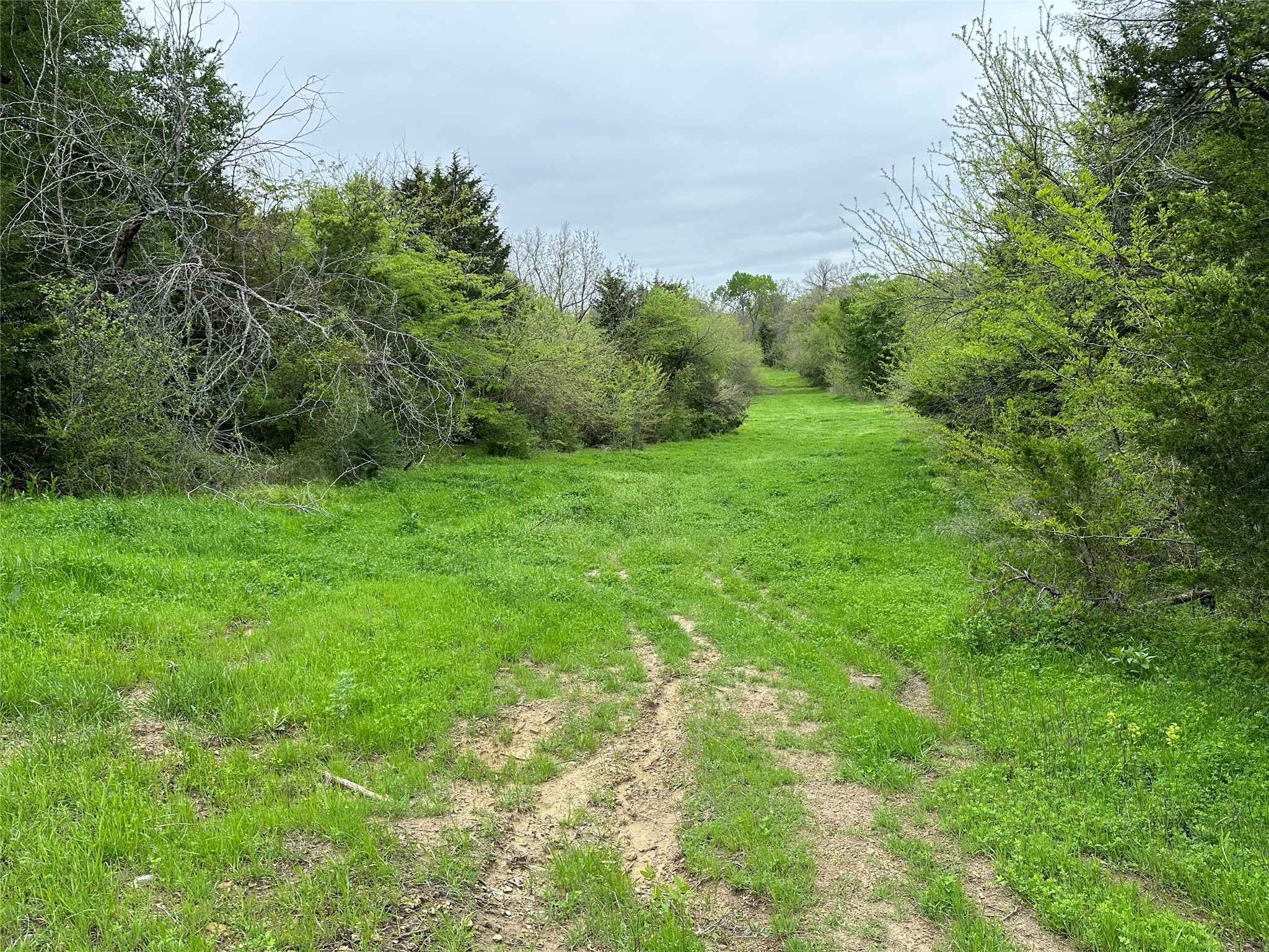 Tract 4 Fm 2194 Greenville TX 75401