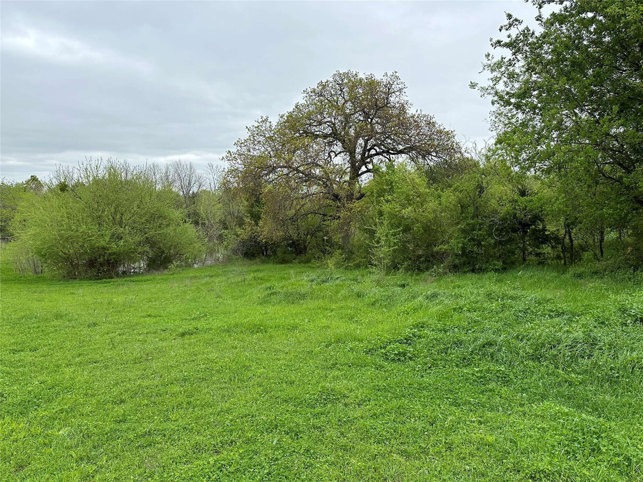 Tract 4 Fm 2194 Greenville TX 75401
