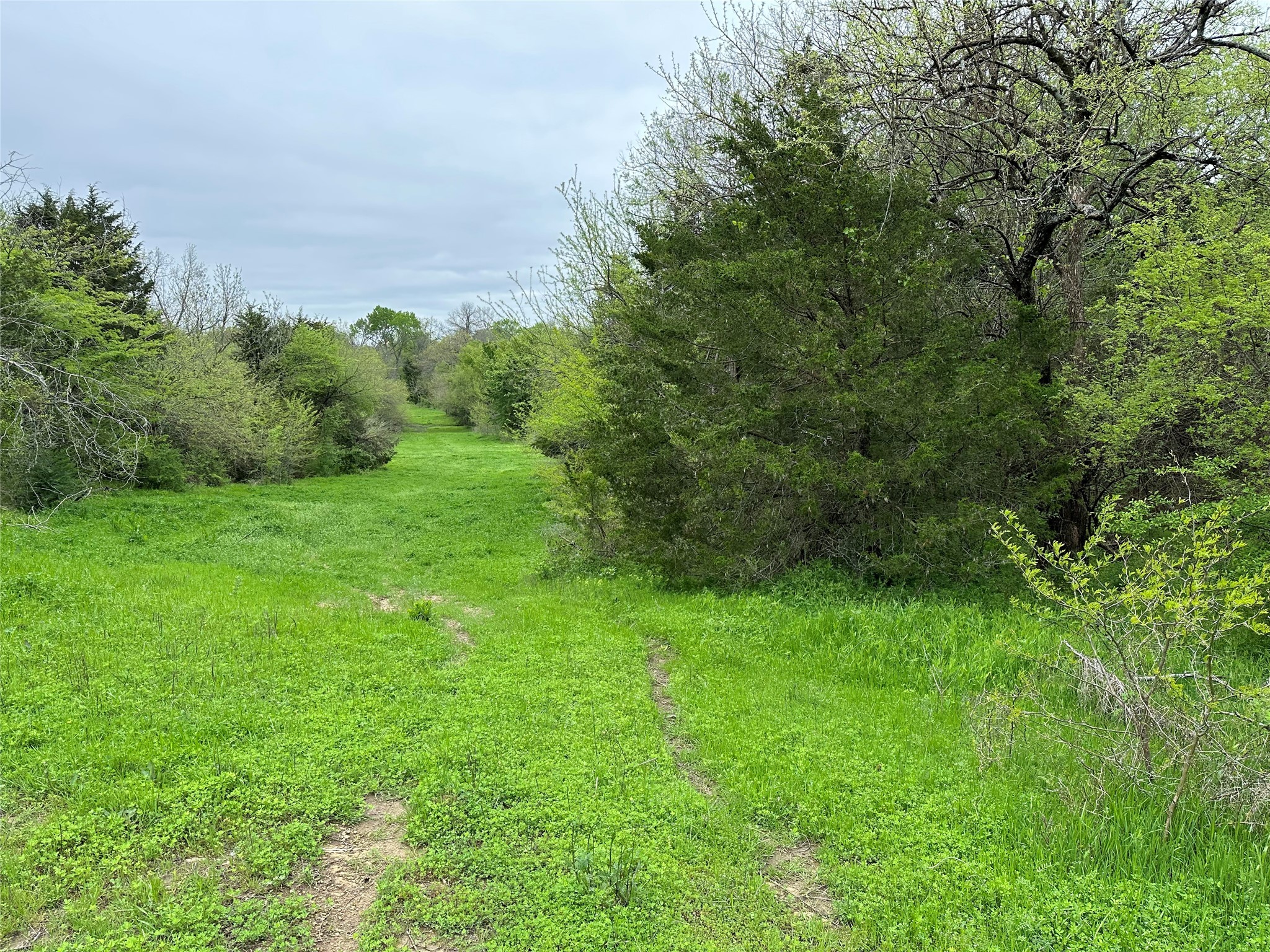 Tract 4 Fm 2194 Greenville TX 75401