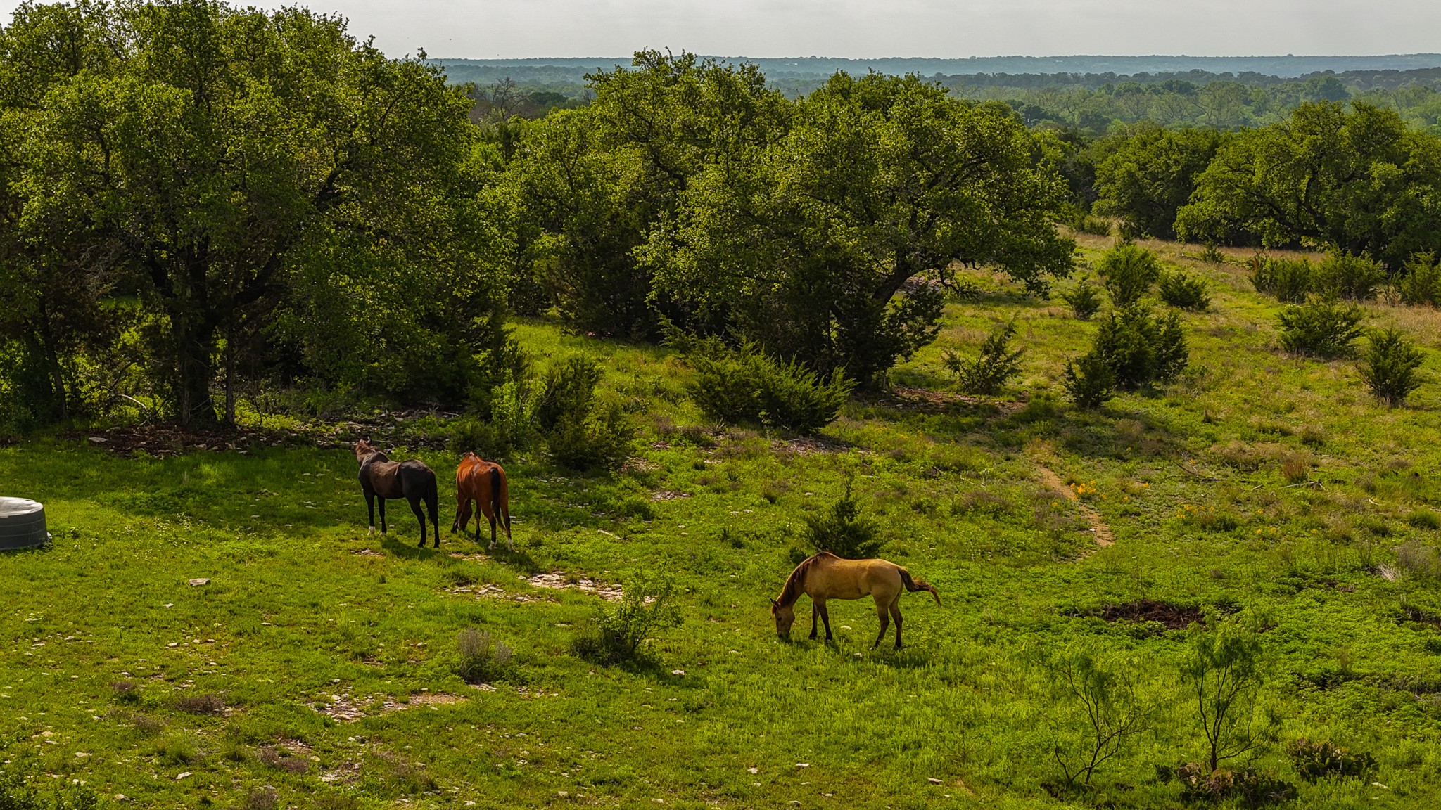 Tbd County Road 105 Hamilton TX 76531