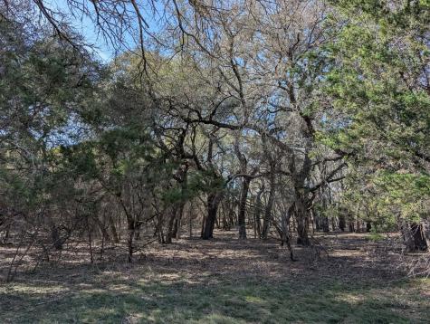 6101 Cr 208 Lampasas TX 76550