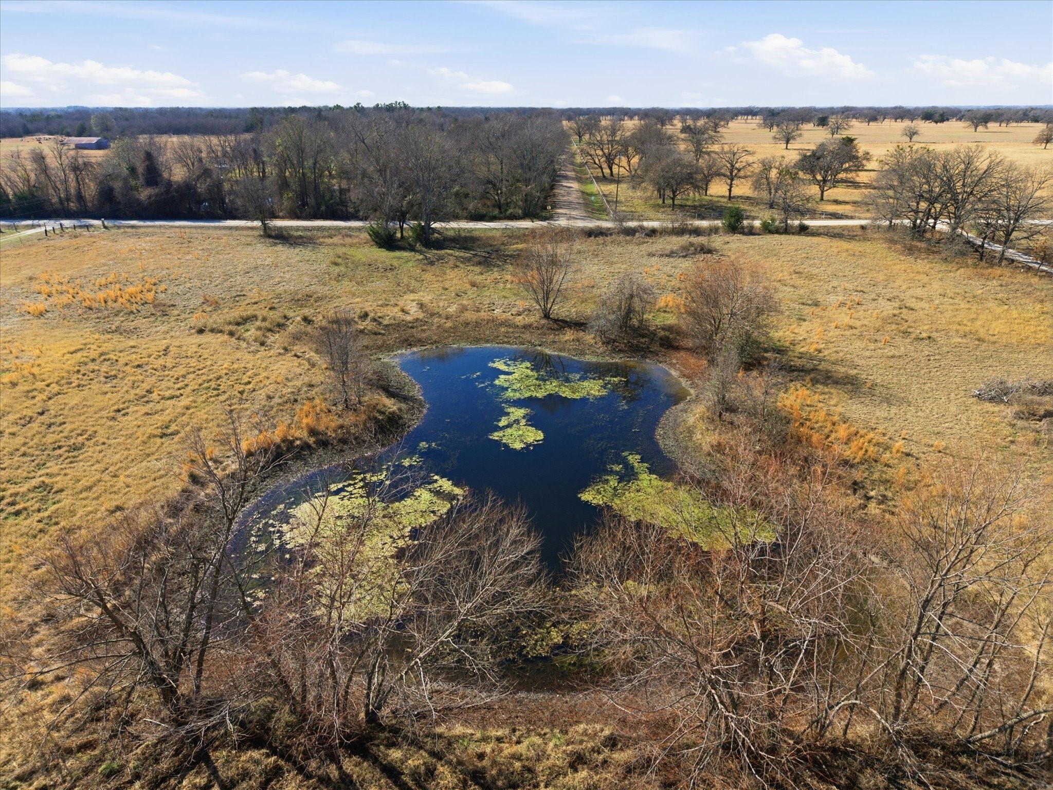 Tbd Lot 1 County Road 349 Terrell TX 75161
