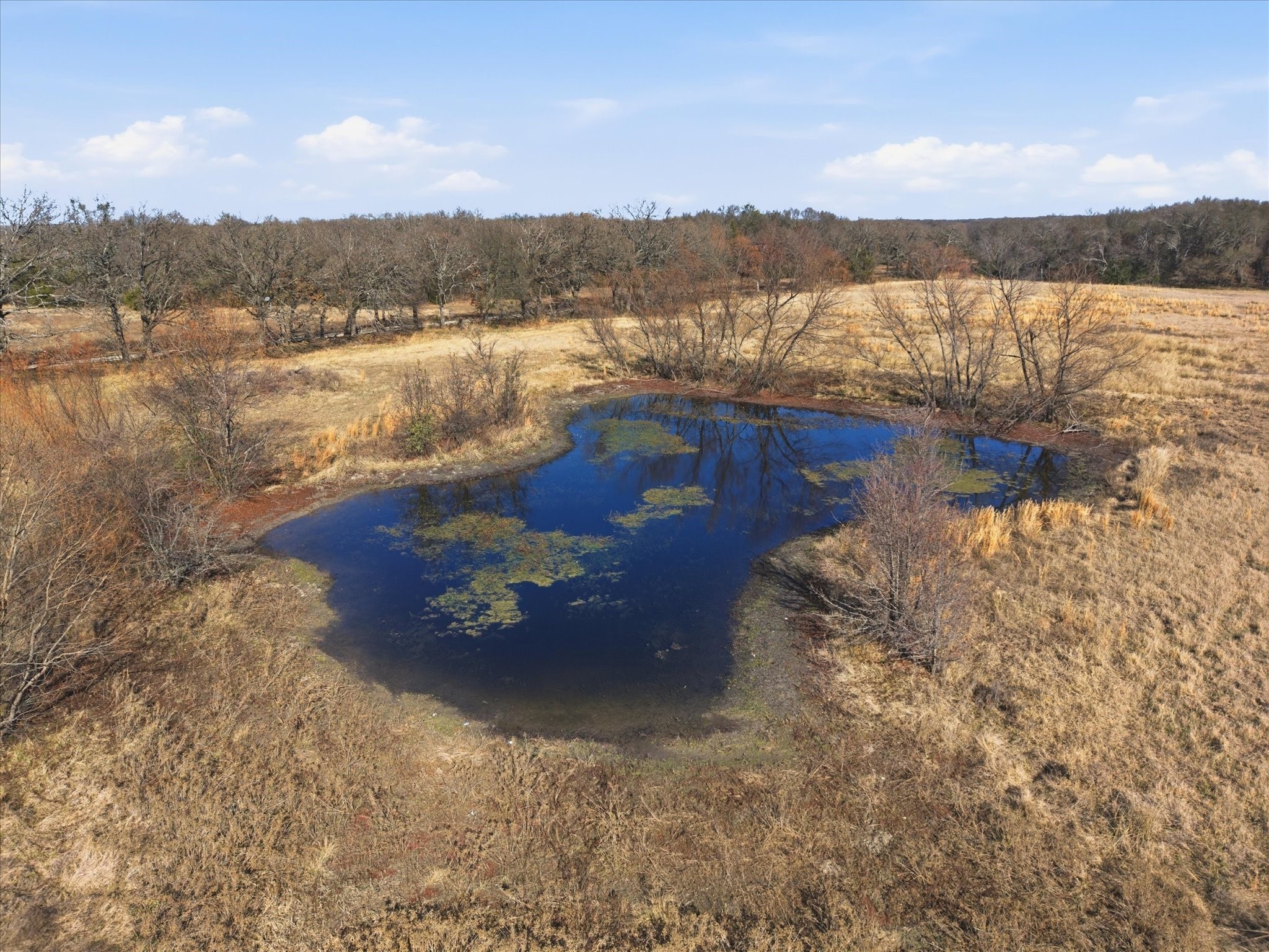 Tbd Lot 1 County Road 349 Terrell TX 75161