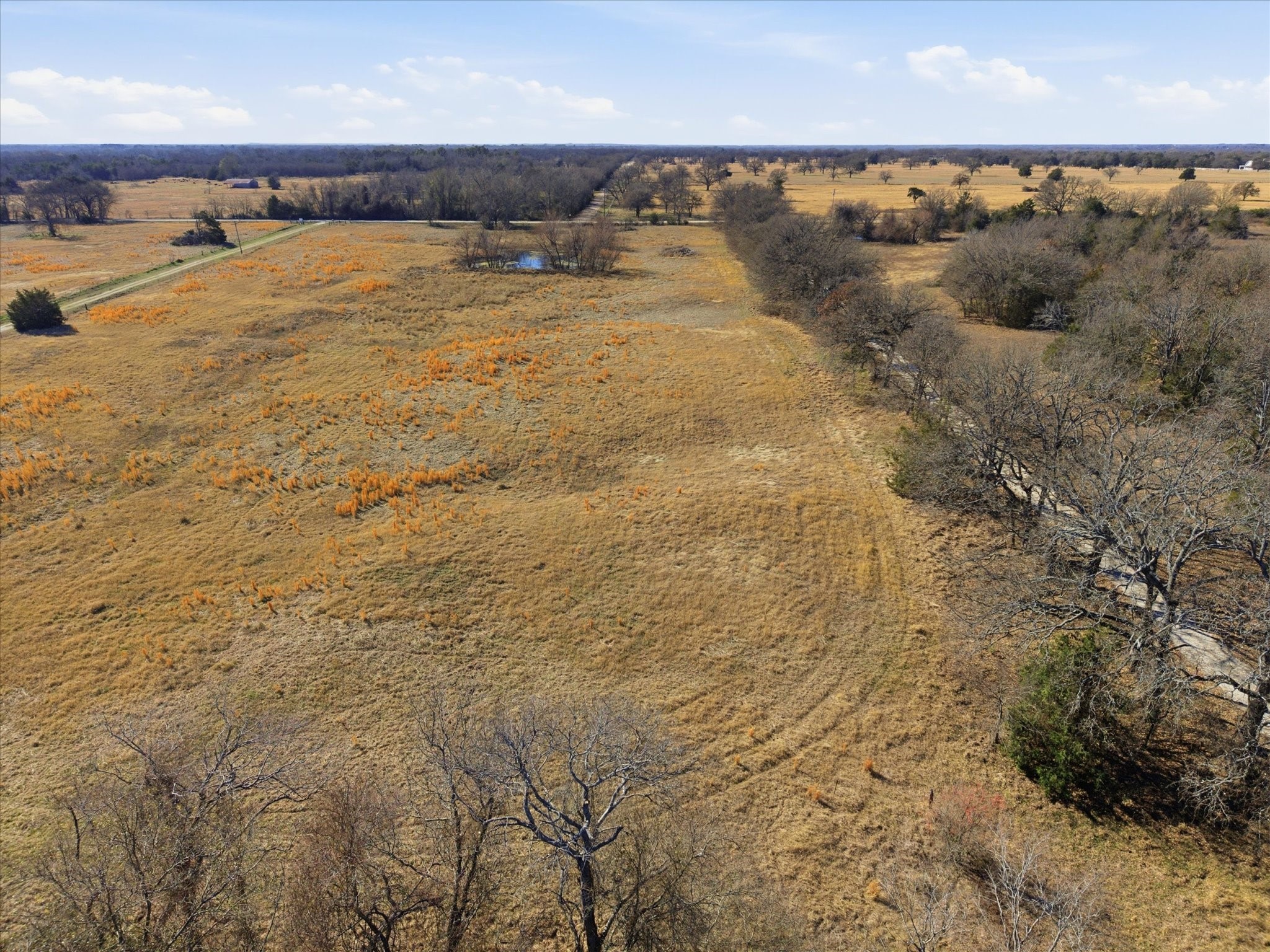 Tbd Lot 1 County Road 349 Terrell TX 75161