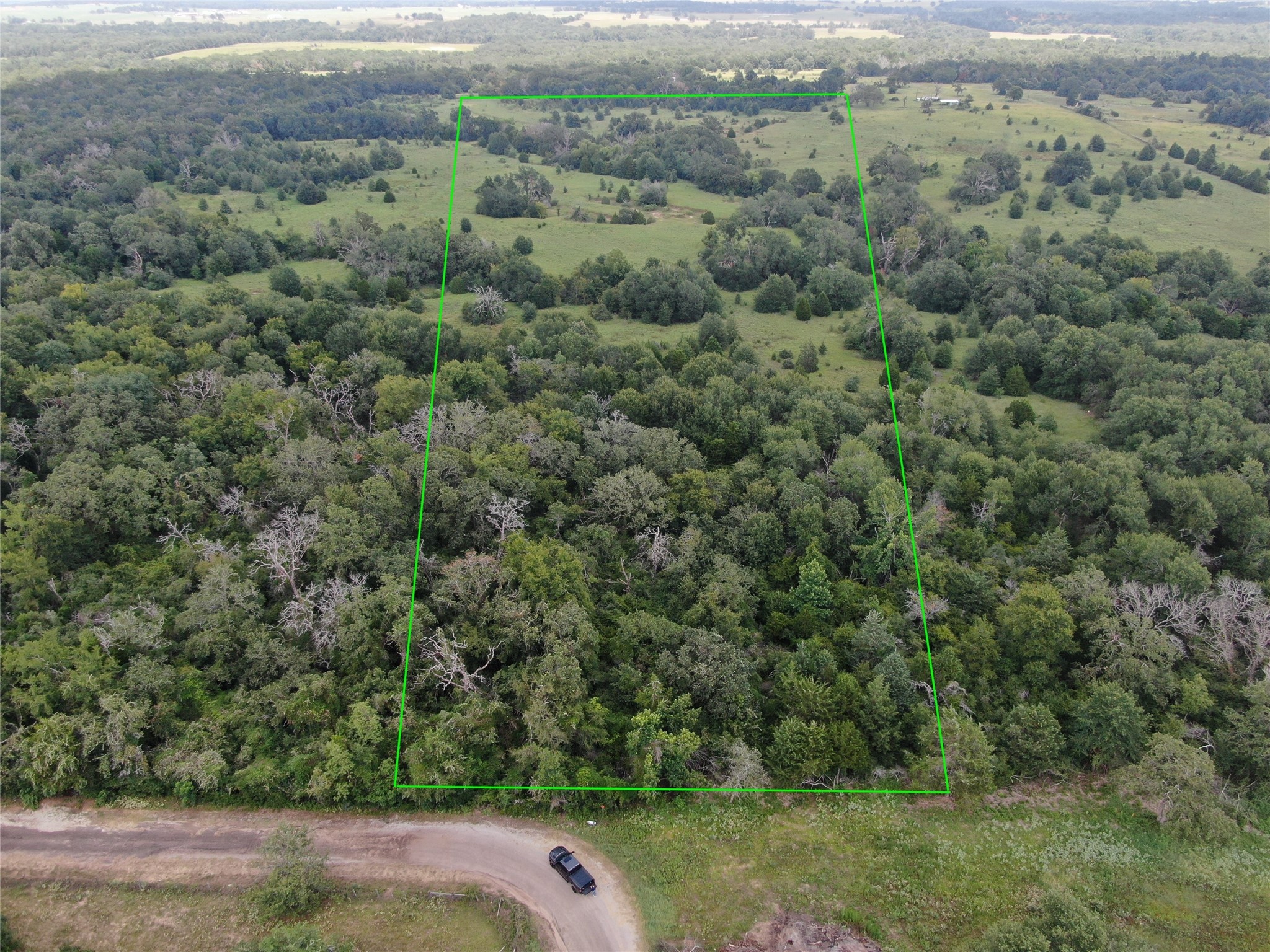 1 County Road 411 Buffalo TX 75831