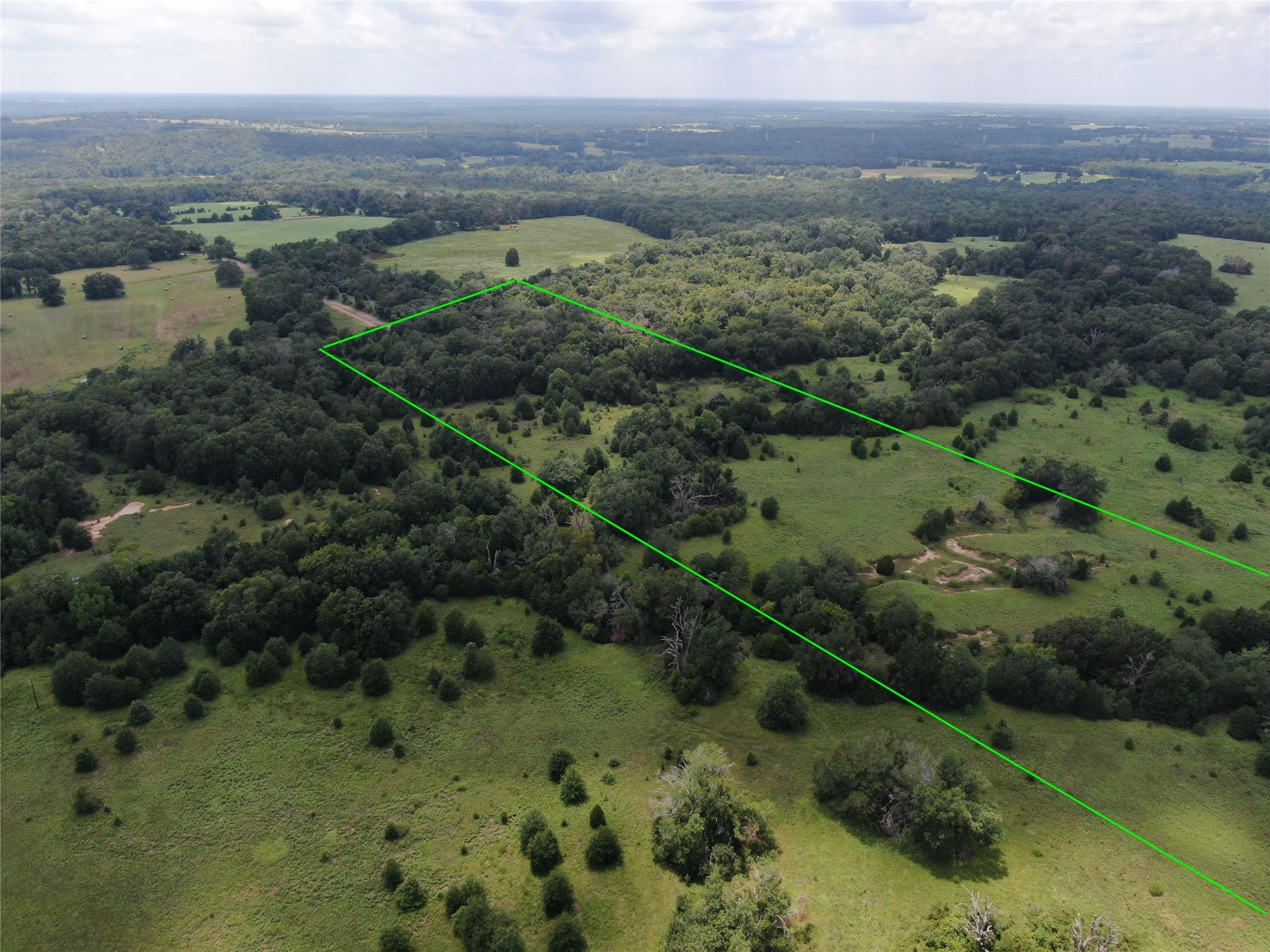 1 County Road 411 Buffalo TX 75831