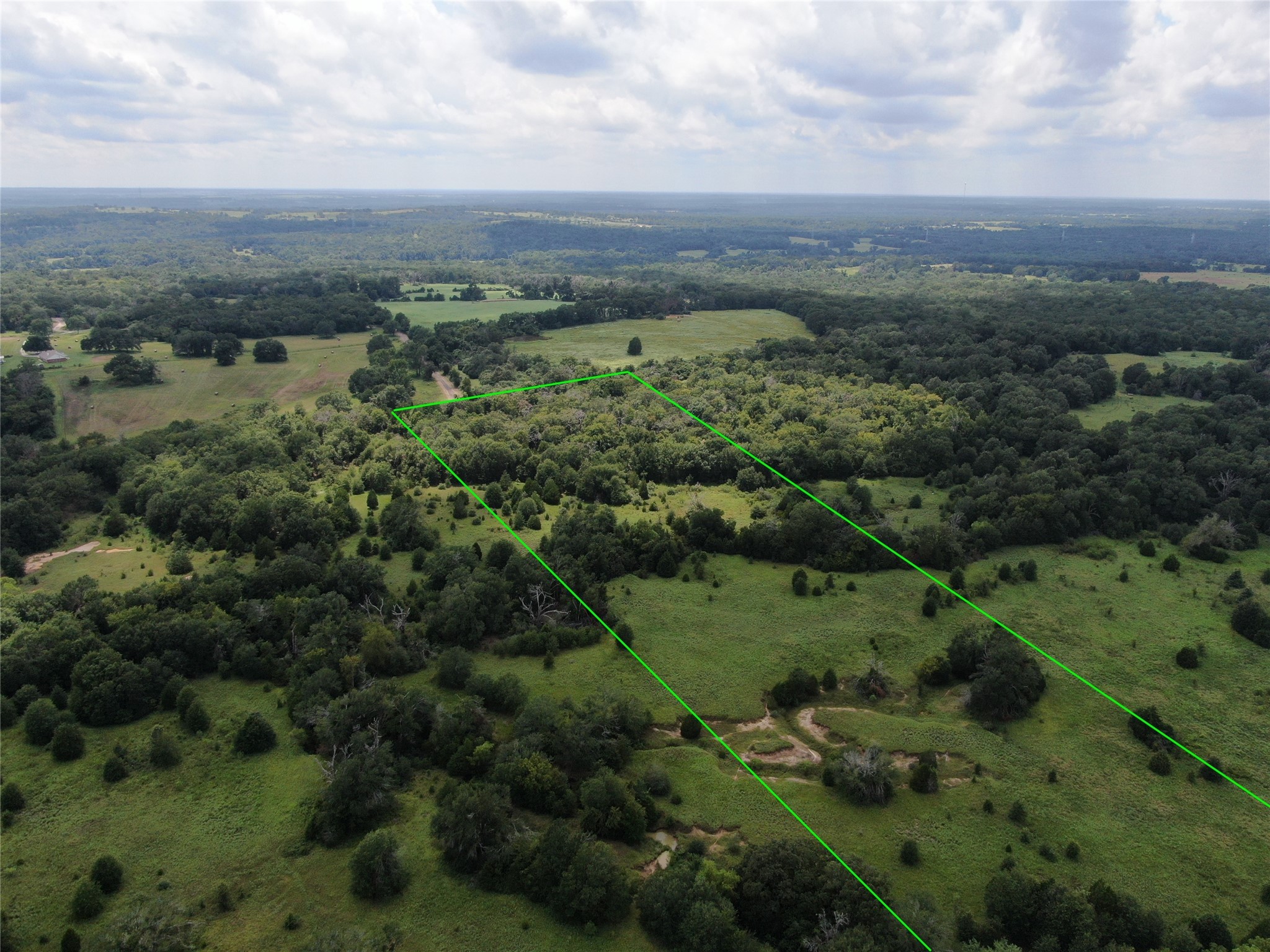1 County Road 411 Buffalo TX 75831