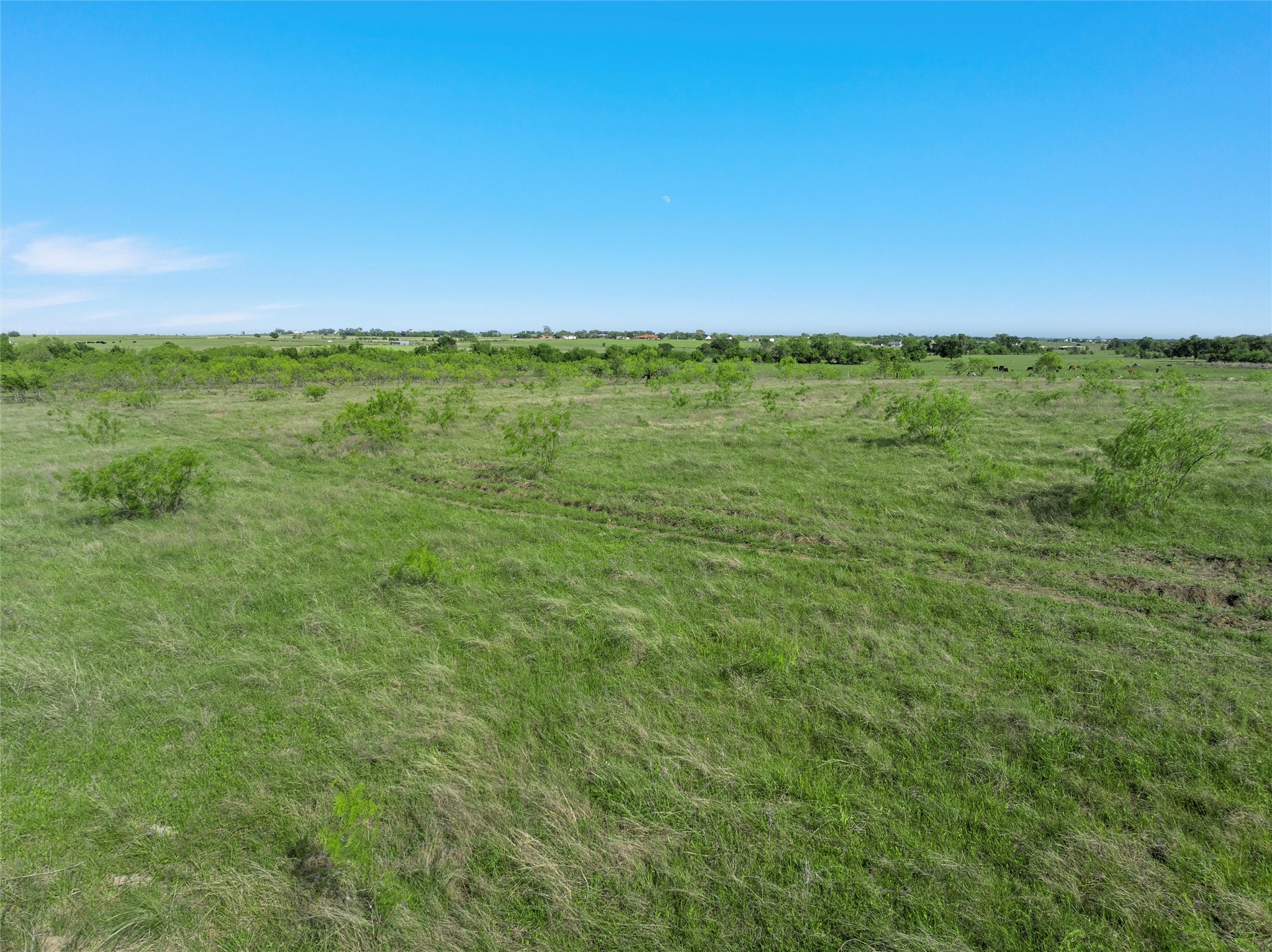 Tbd 7 Mile Lane Riesel TX 76682