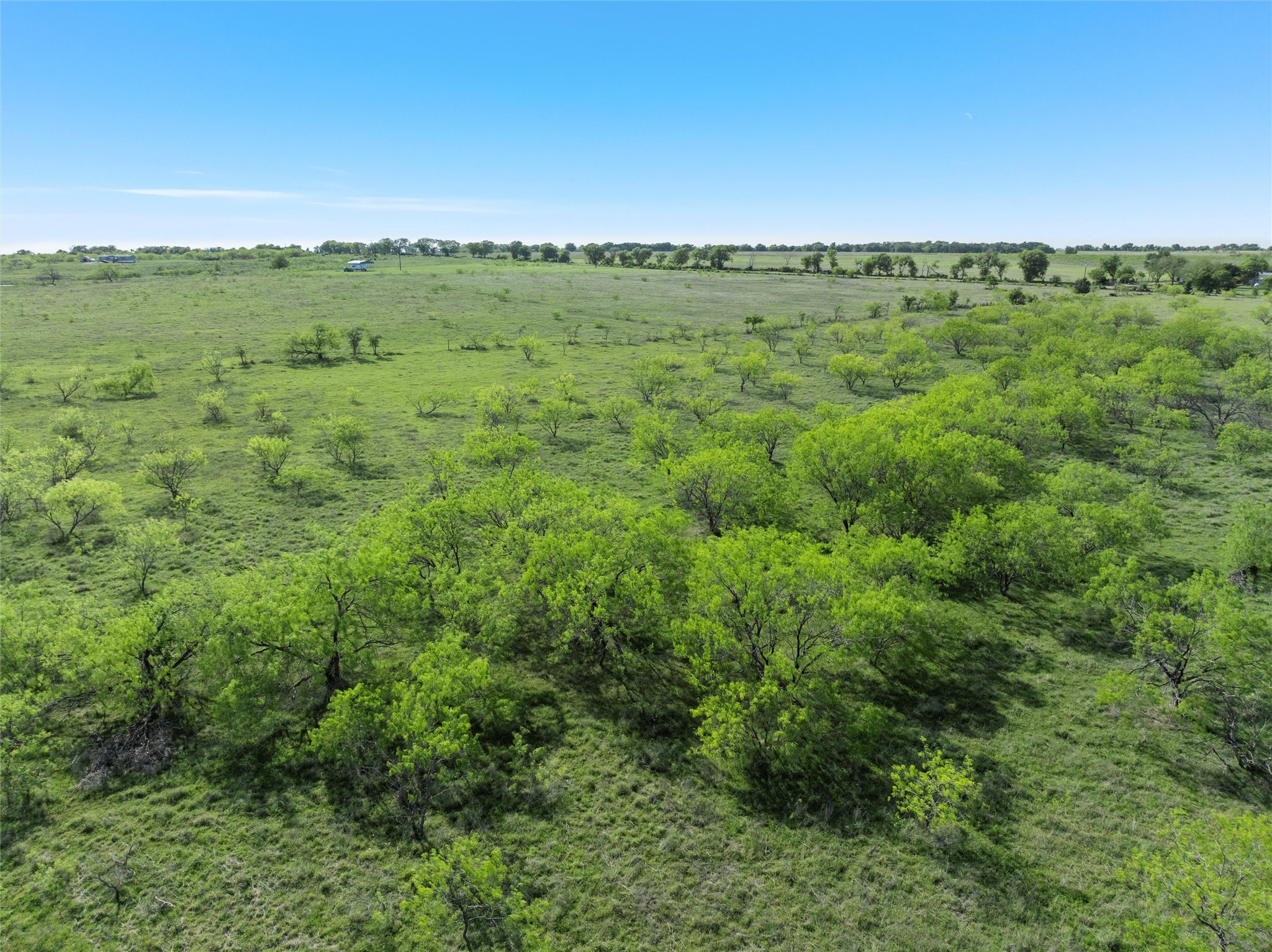 Tbd 7 Mile Lane Riesel TX 76682