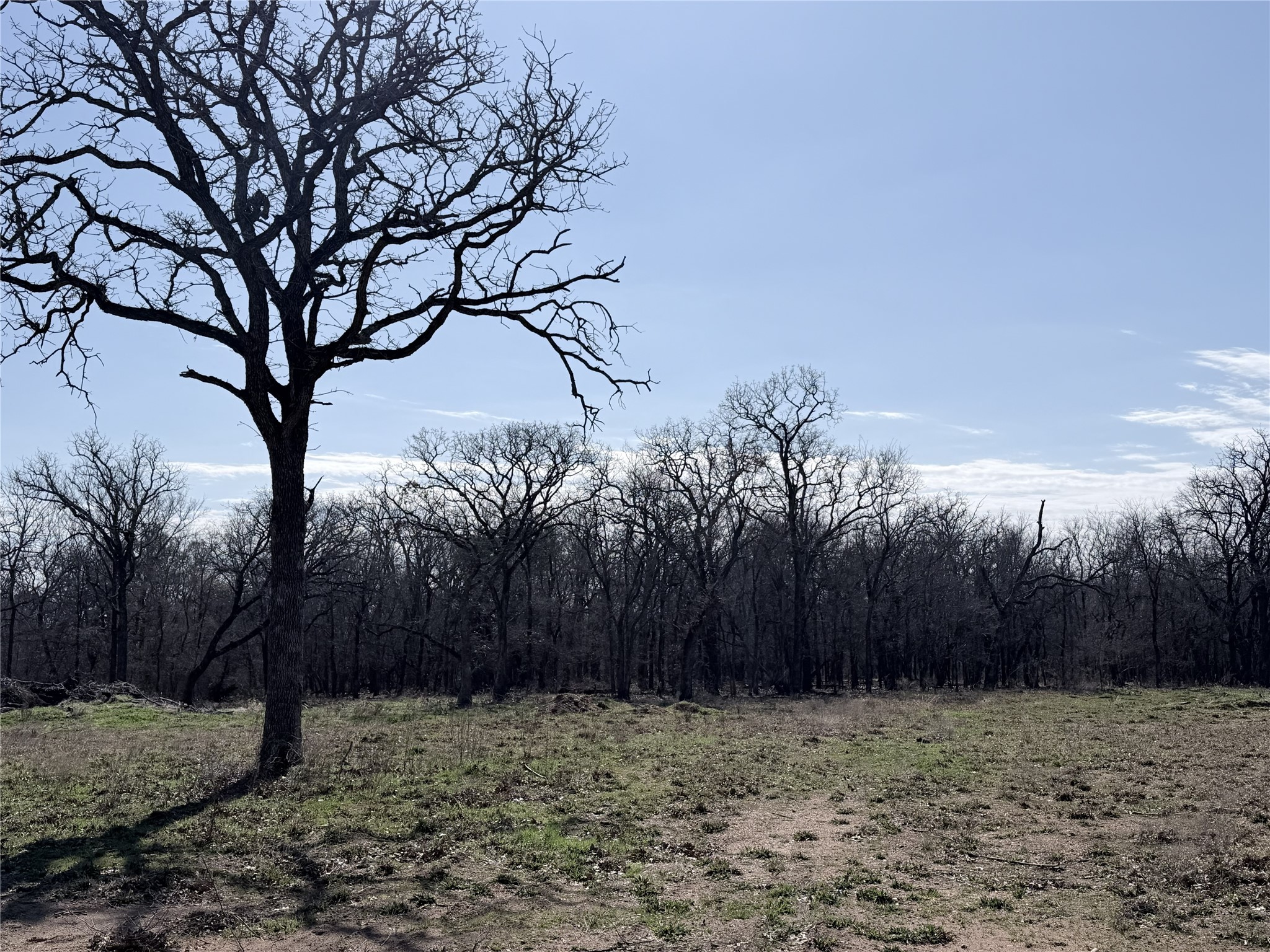 Lot 12 Lakewood Drive Whitney TX 76692