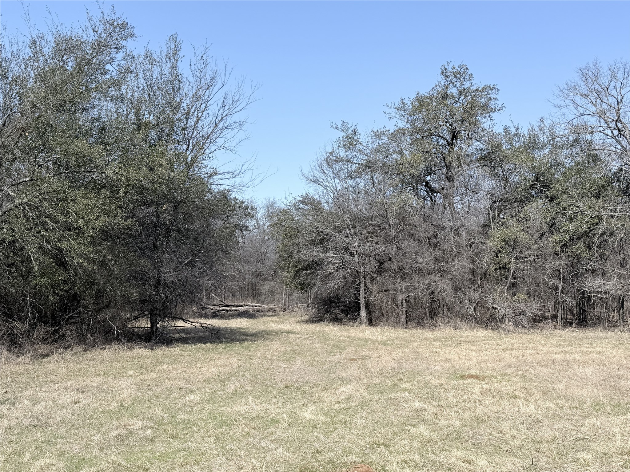 Lot 12 Lakewood Drive Whitney TX 76692