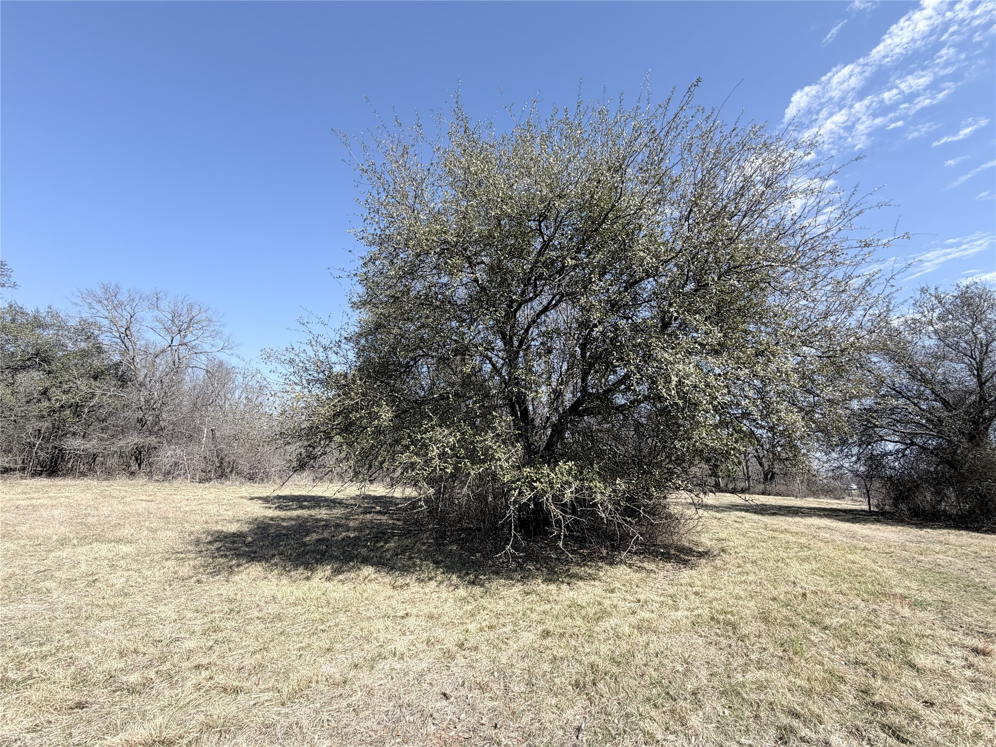 Lot 12 Lakewood Drive Whitney TX 76692