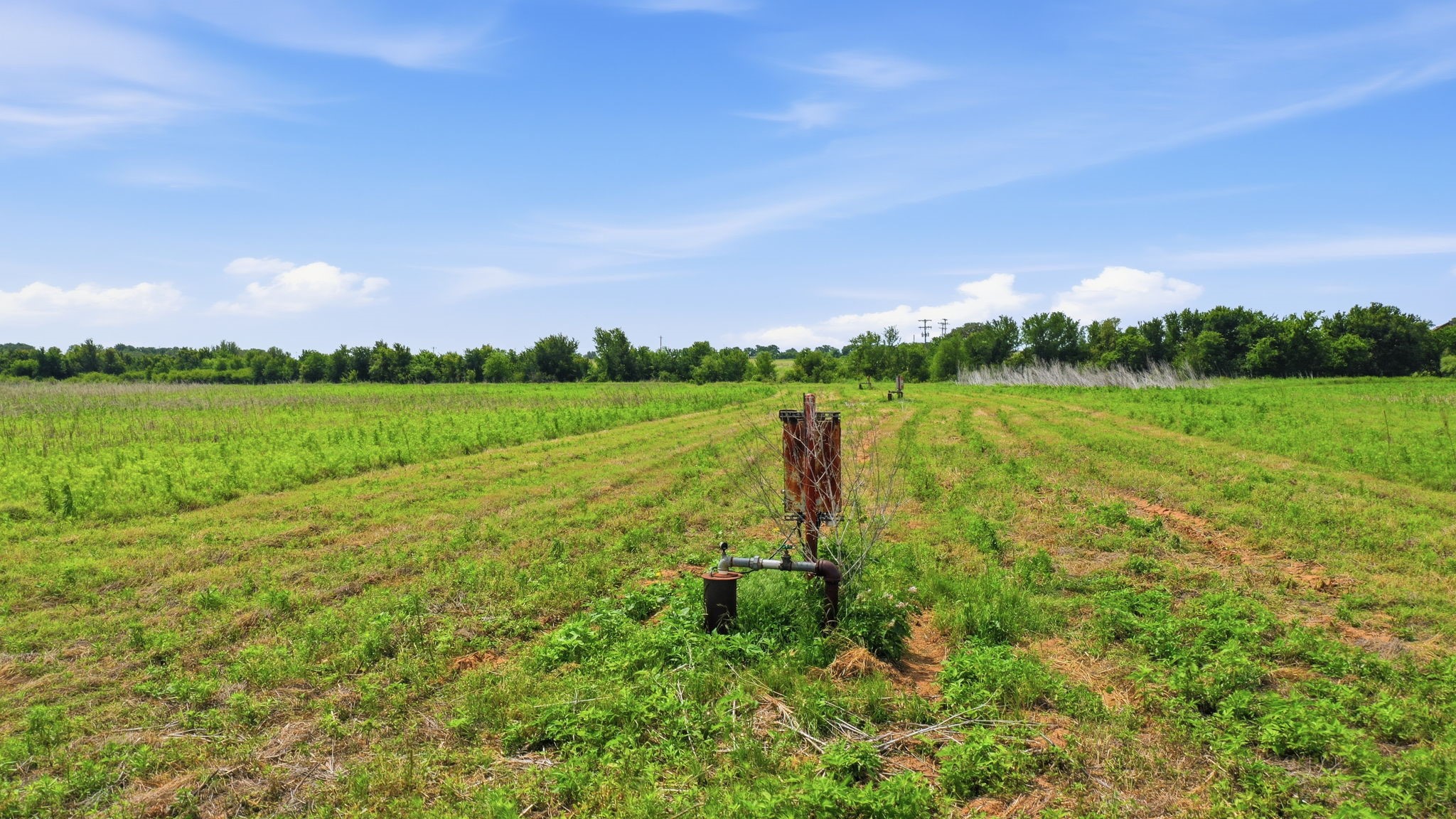 Tbd Cr 495 De Leon TX 76444