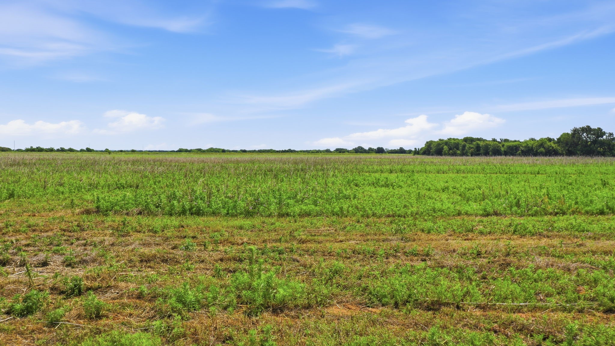 Tbd Cr 495 De Leon TX 76444