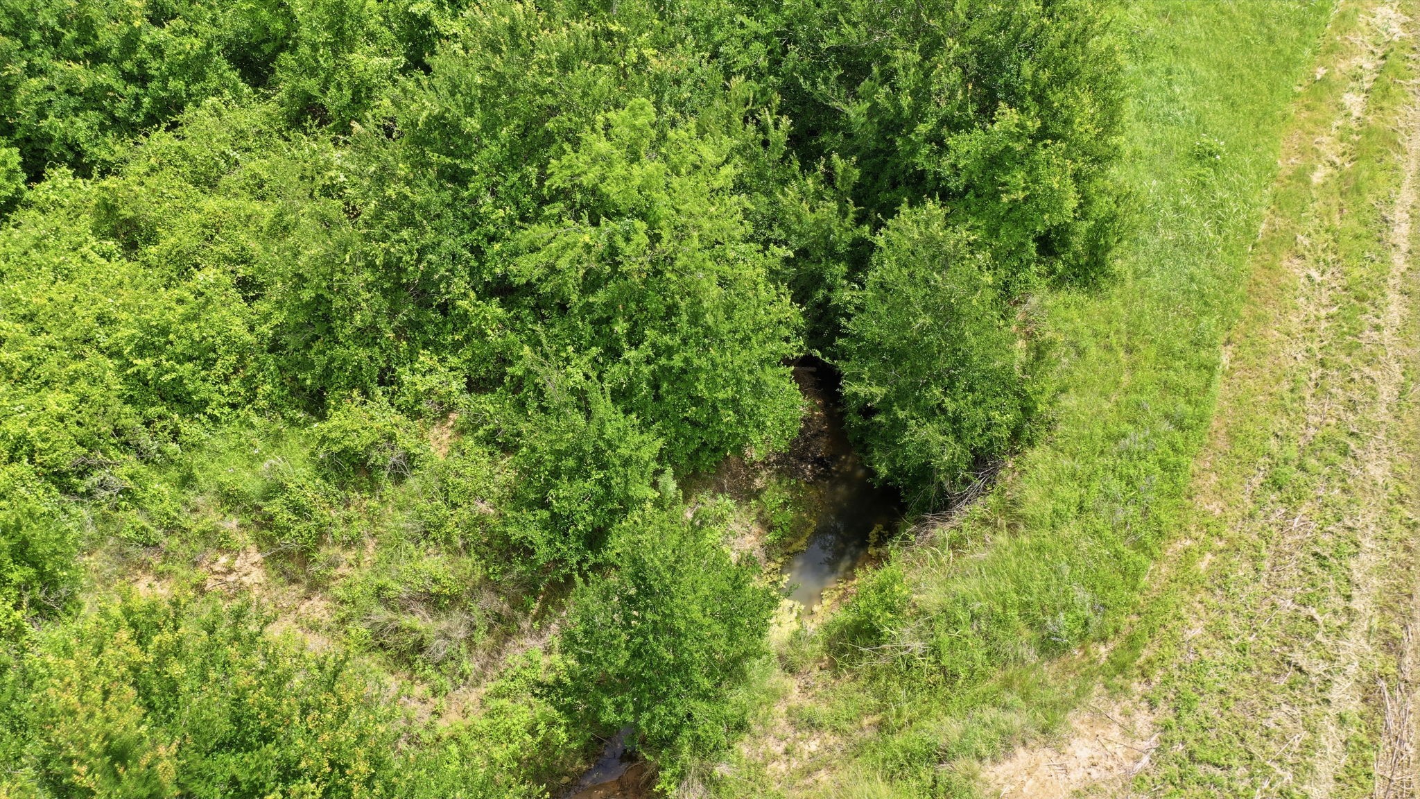 Tbd Cr 495 De Leon TX 76444