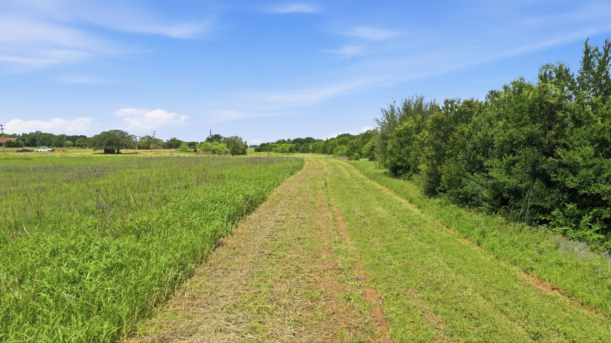 Tbd Cr 495 De Leon TX 76444