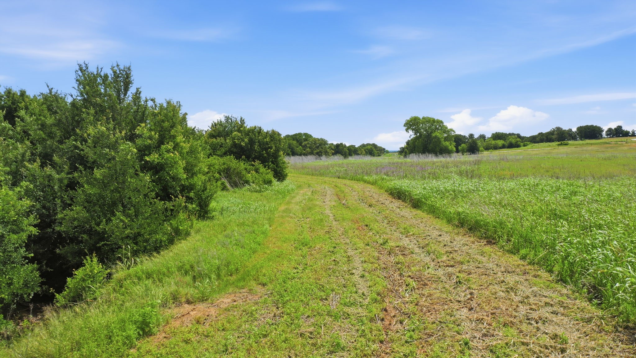Tbd Cr 495 De Leon TX 76444