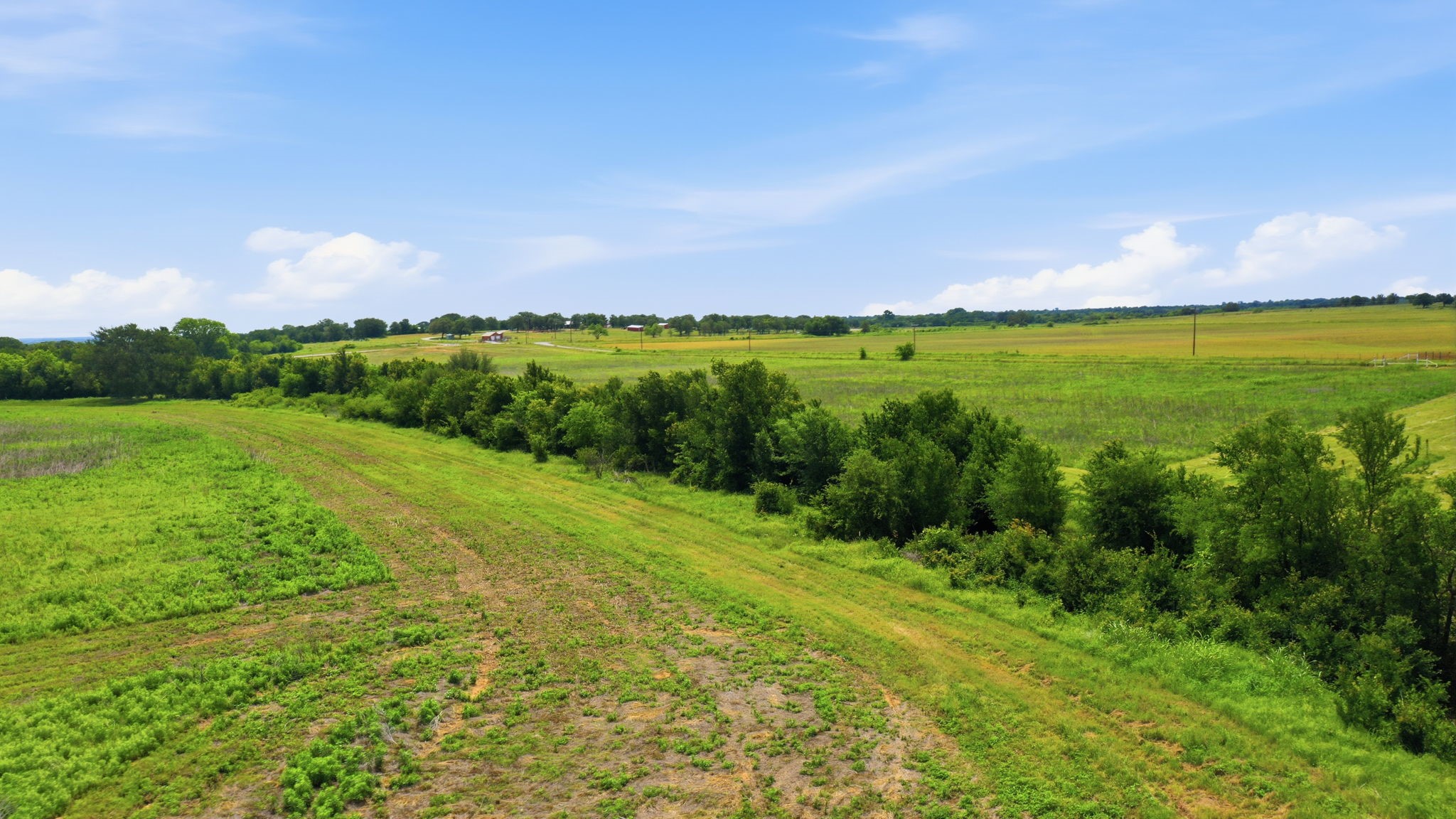 Tbd Cr 495 De Leon TX 76444