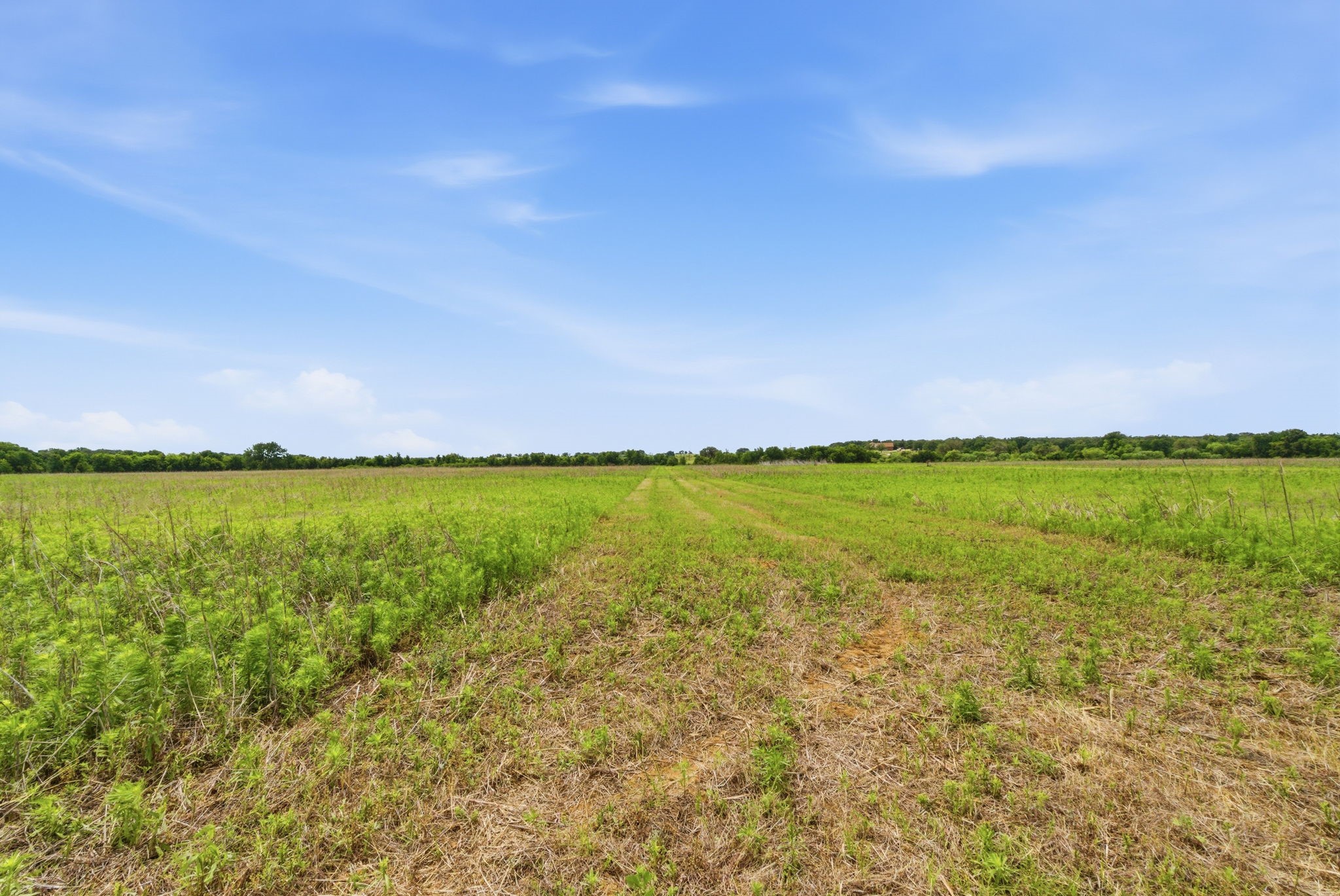 Tbd Cr 495 De Leon TX 76444