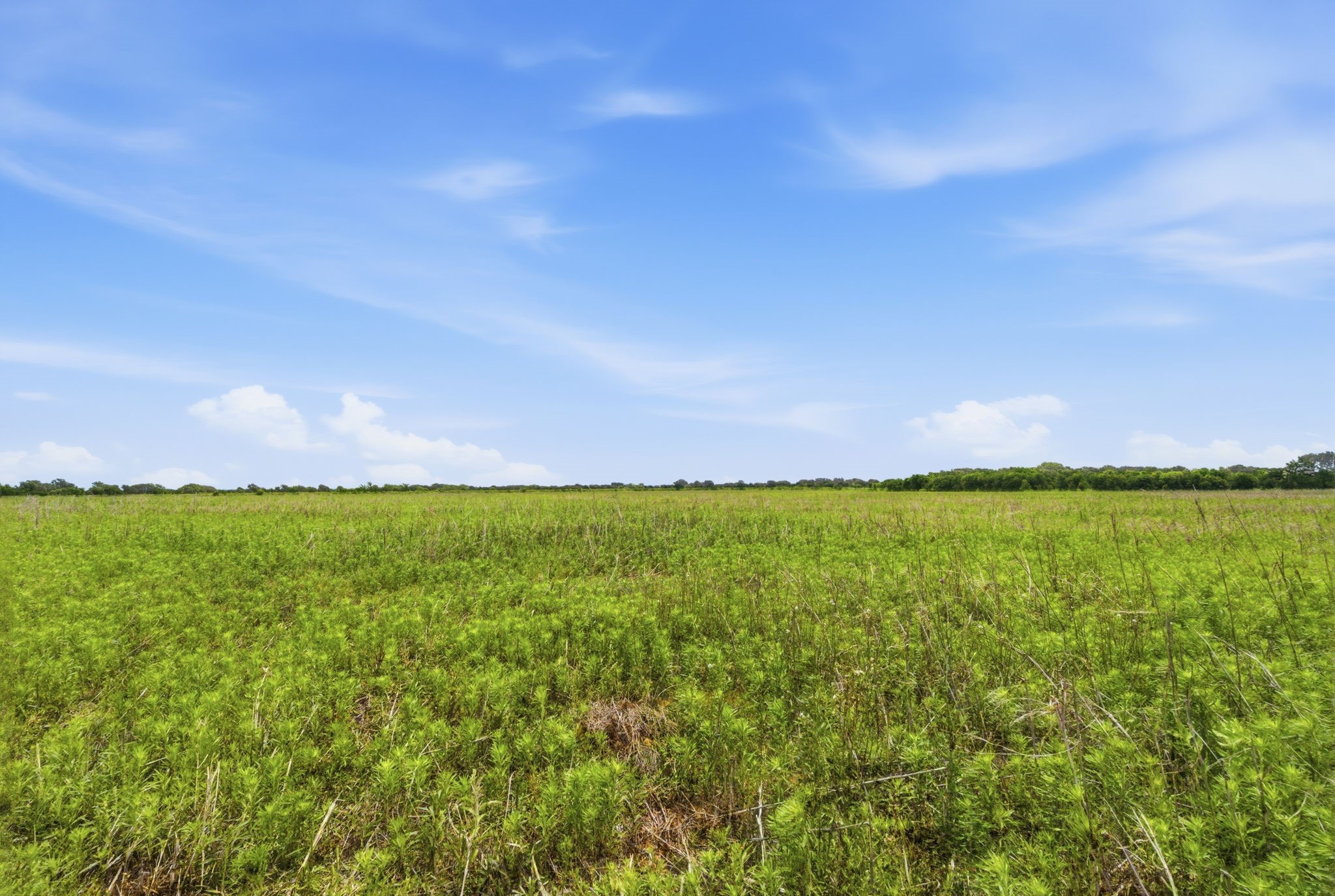 Tbd Cr 495 De Leon TX 76444