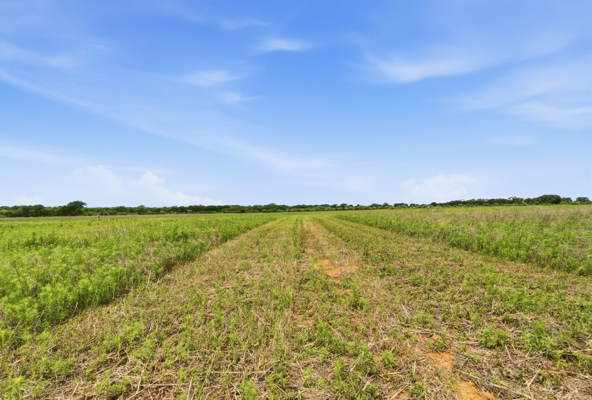 Tbd Cr 495 De Leon TX 76444