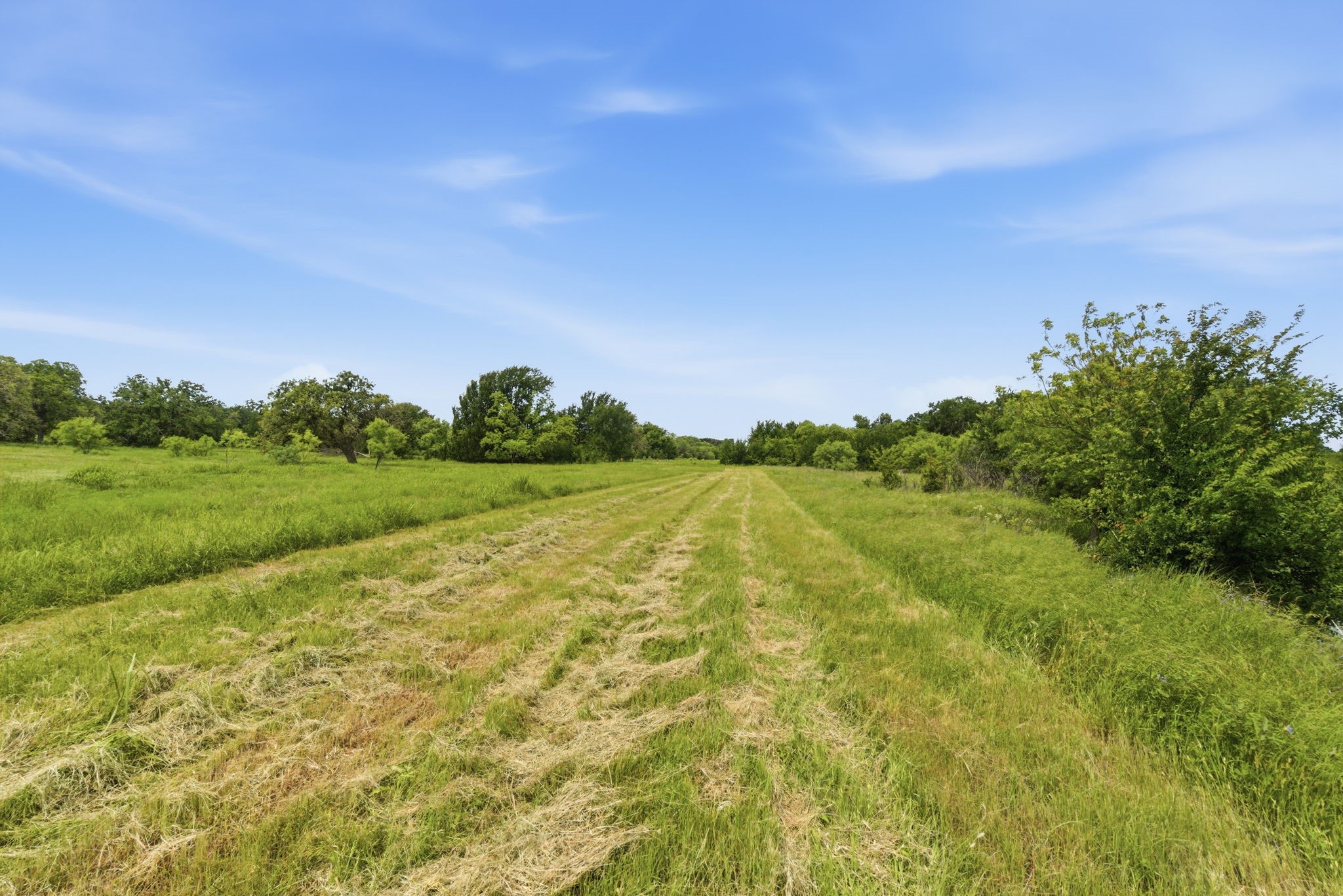 Tbd Cr 495 De Leon TX 76444