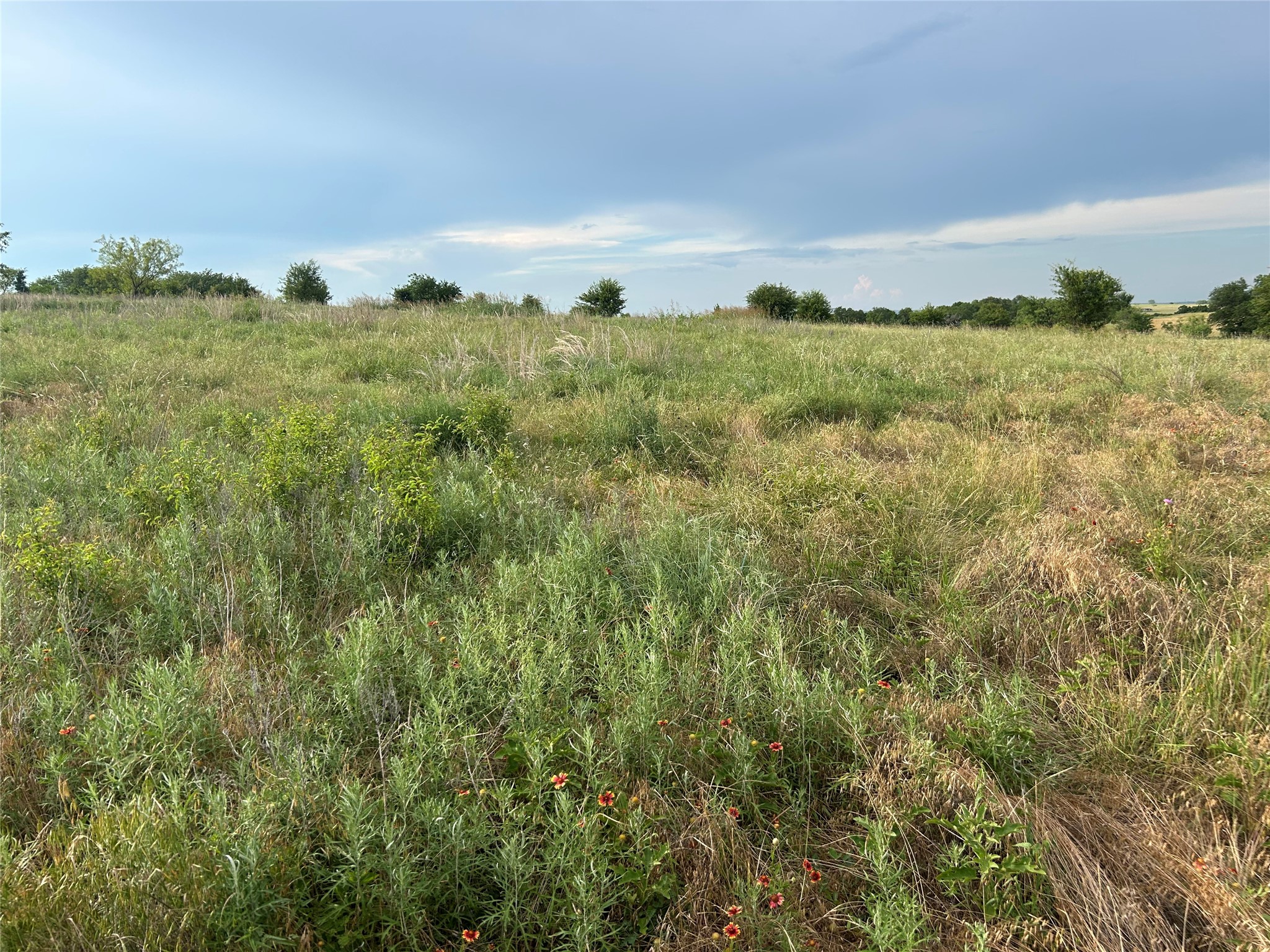 4045 Mirielle Drive Aledo TX 76008