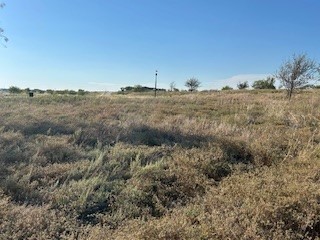 4045 Mirielle Drive Aledo TX 76008