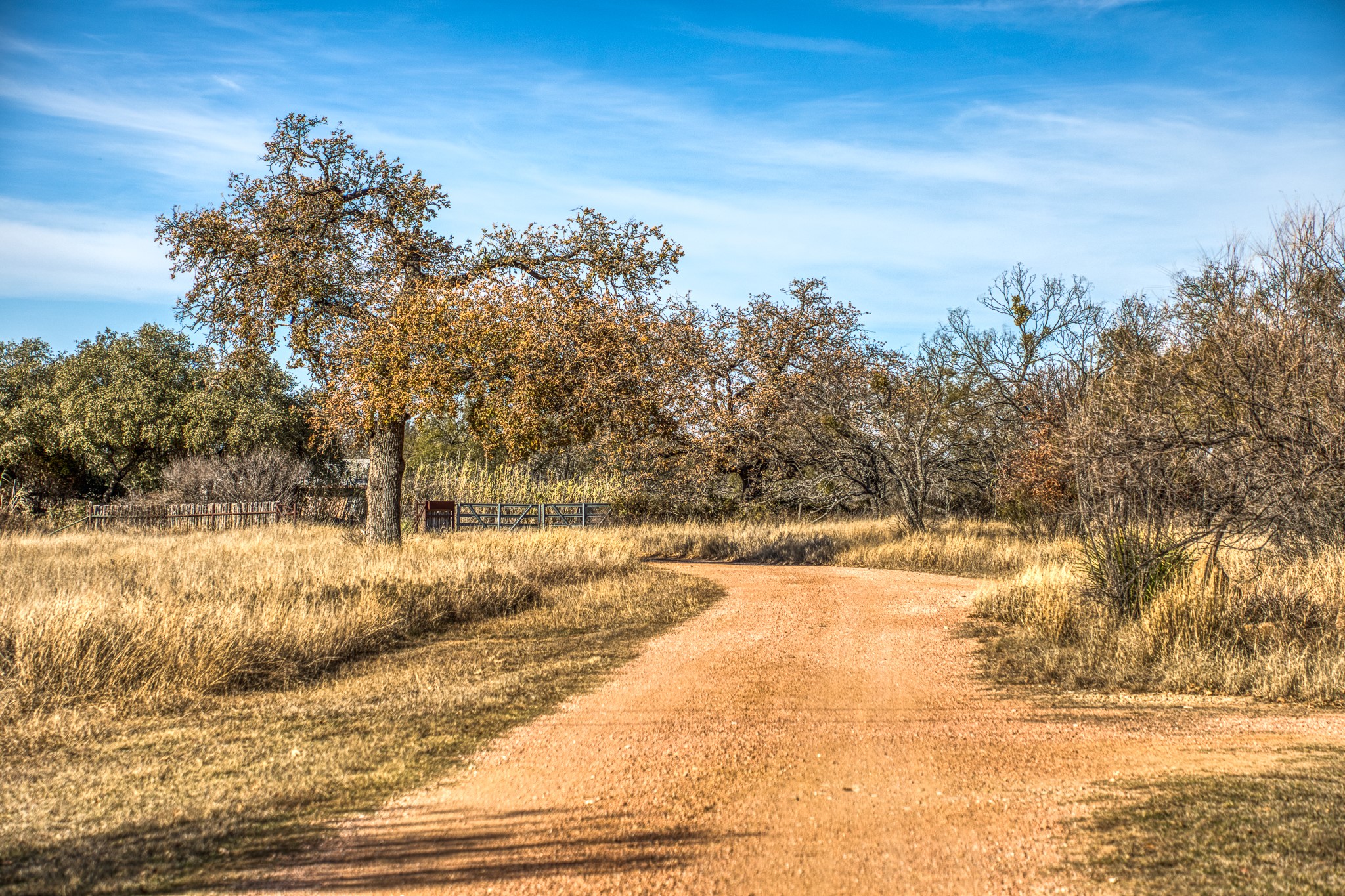 2969 County Lane 422 Talpa TX 76882