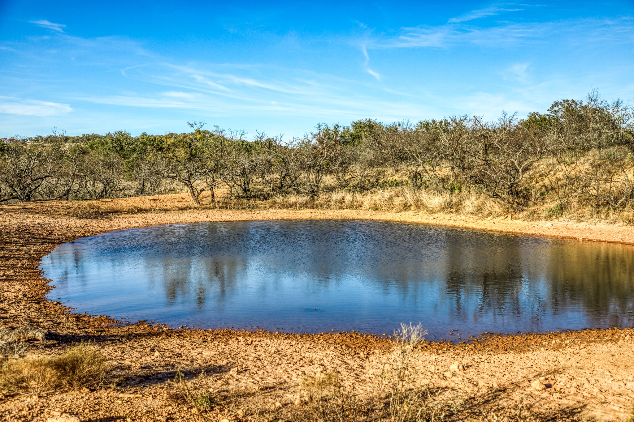 2969 County Lane 422 Talpa TX 76882