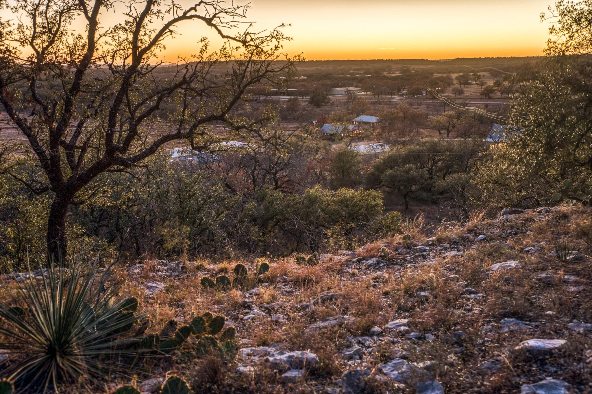 2969 County Lane 422 Talpa TX 76882