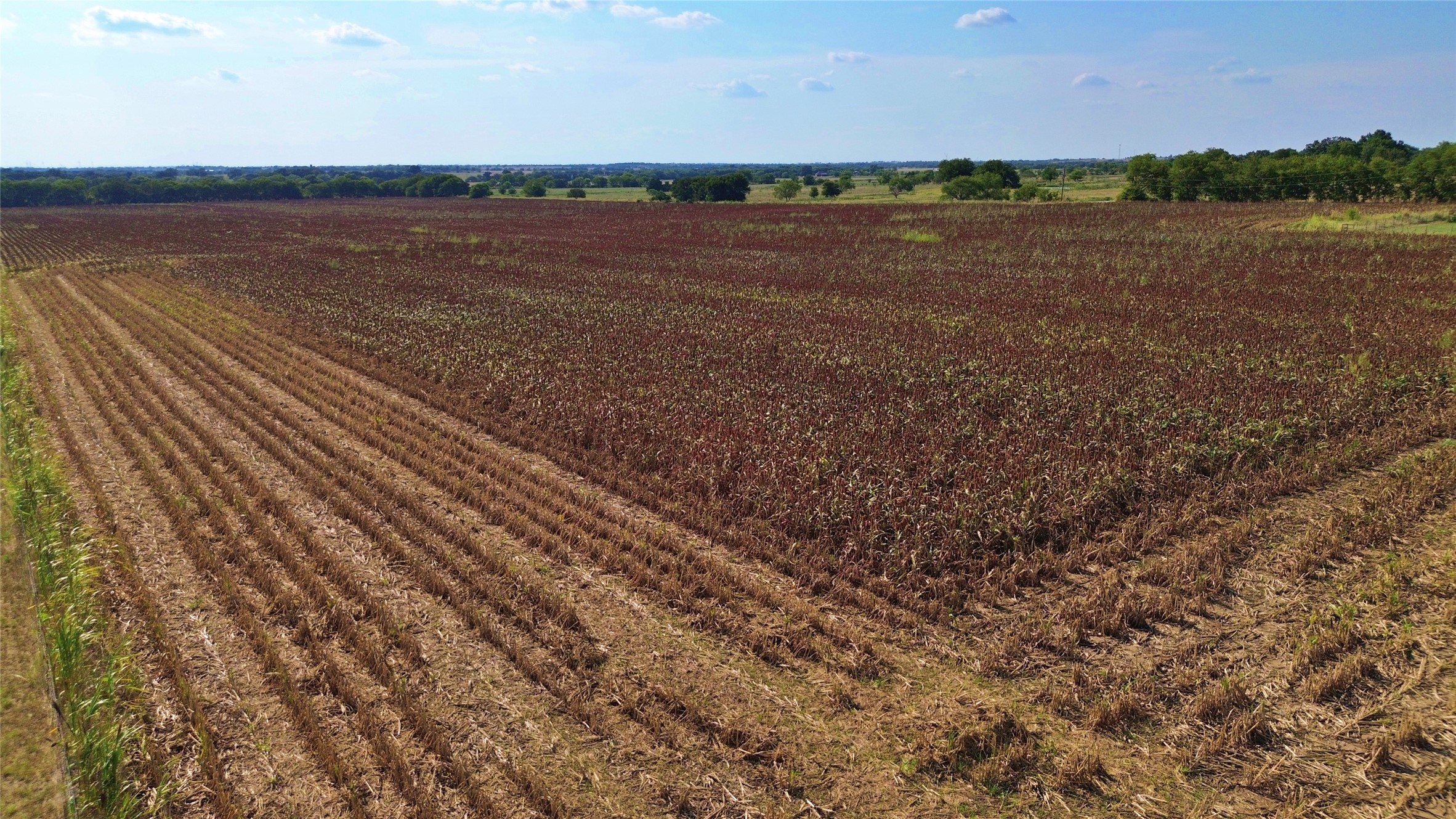 0 Cr 237 Gainesville TX 76240
