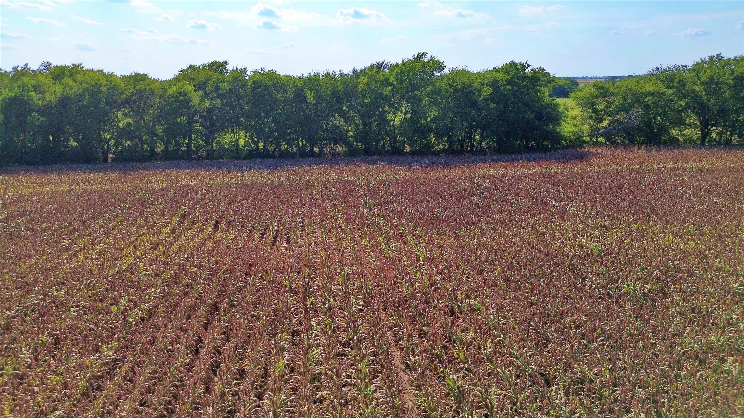 0 Cr 237 Gainesville TX 76240